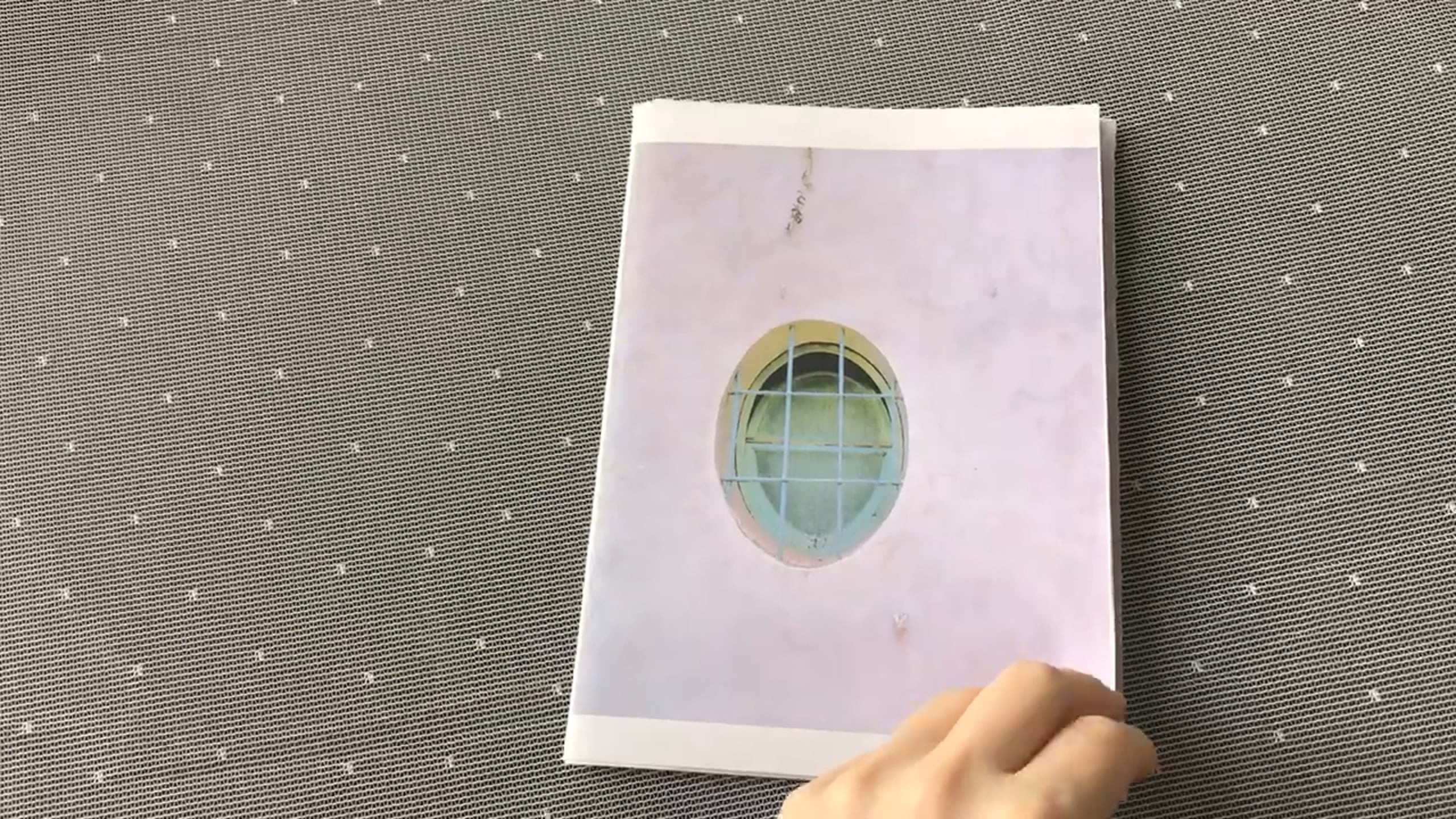 Можно близко / Can be close. Фотограф Татьяна Байкова — официальный сайт