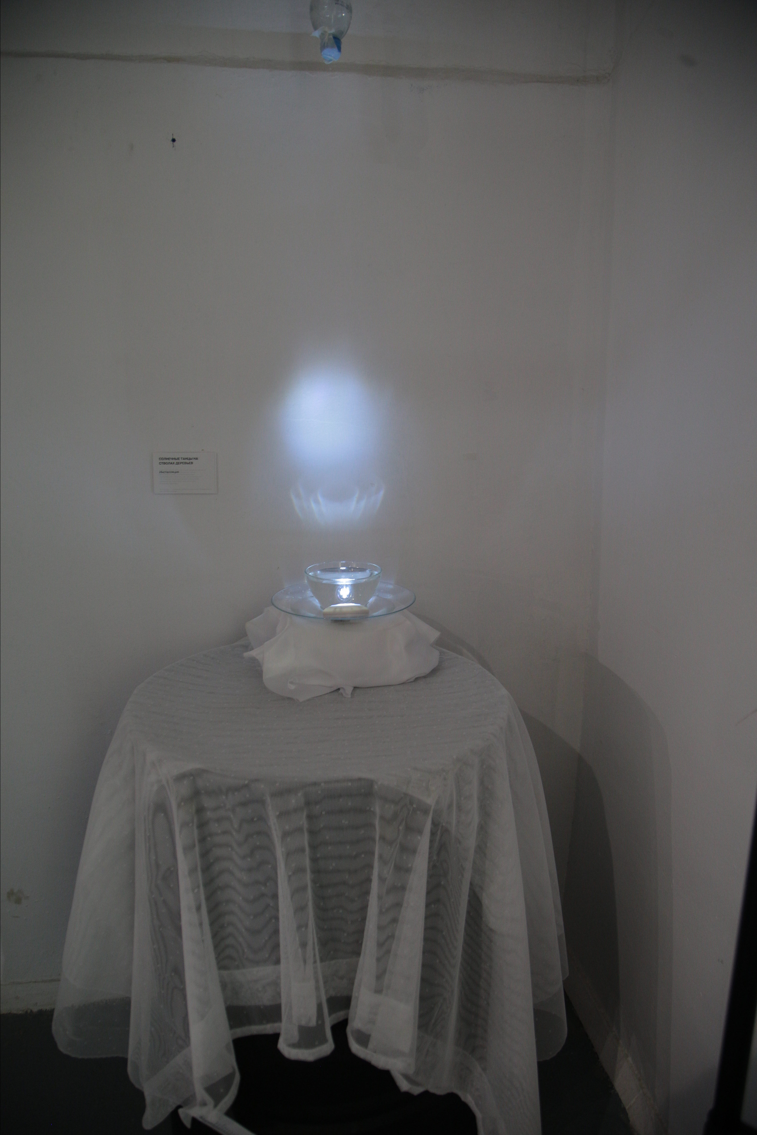 Можно близко / Can be close. Фотограф Татьяна Байкова — официальный сайт