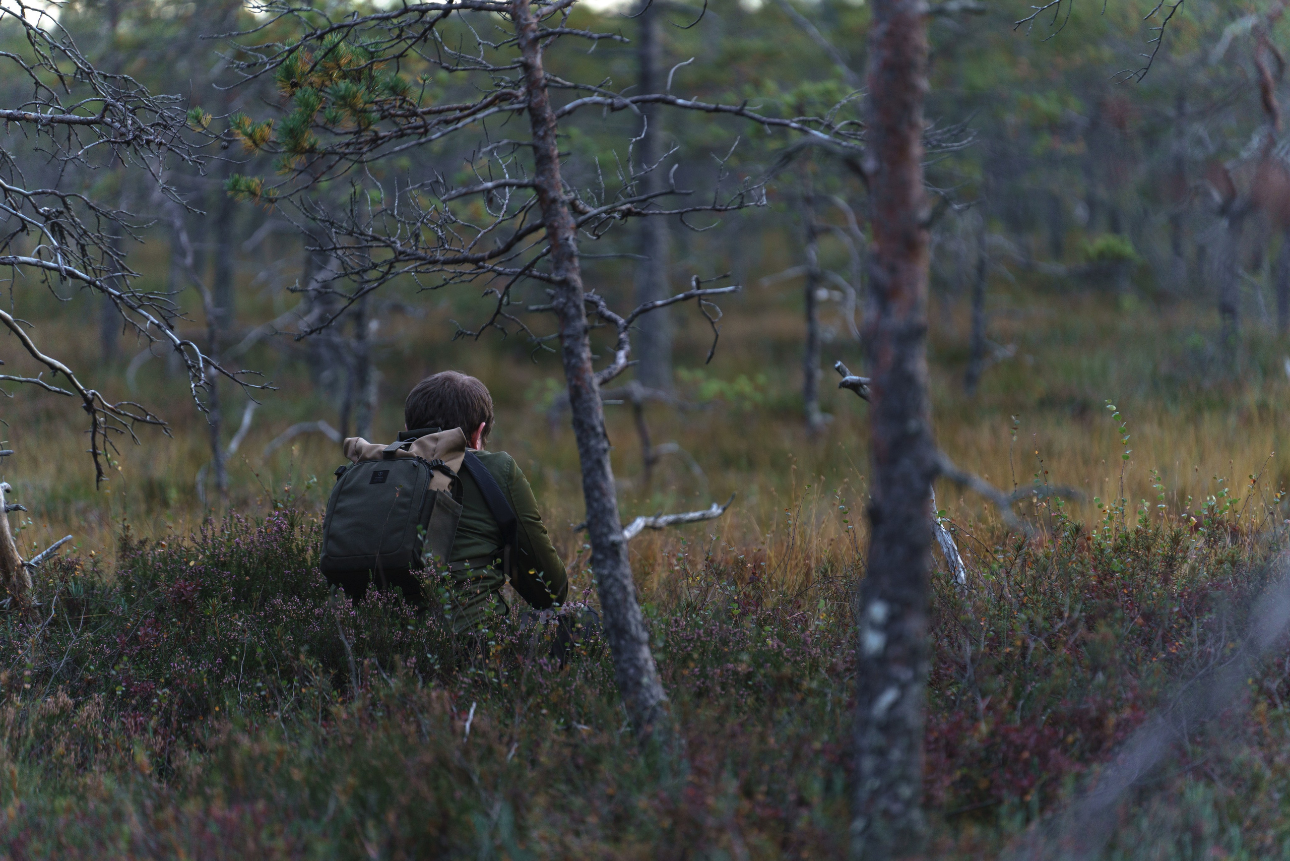 Осень на Карельском перешейке. Сентябрь