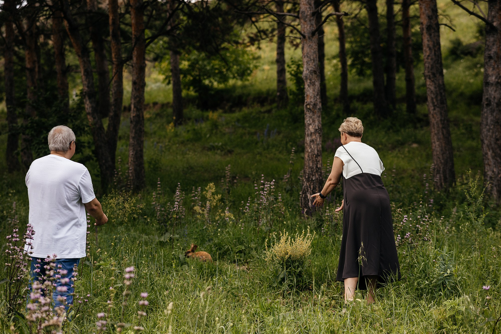 Ольга и Юрий. Семейный фотограф Пятигорск, Кисловодск, Эльбрус. Марина Вяликова