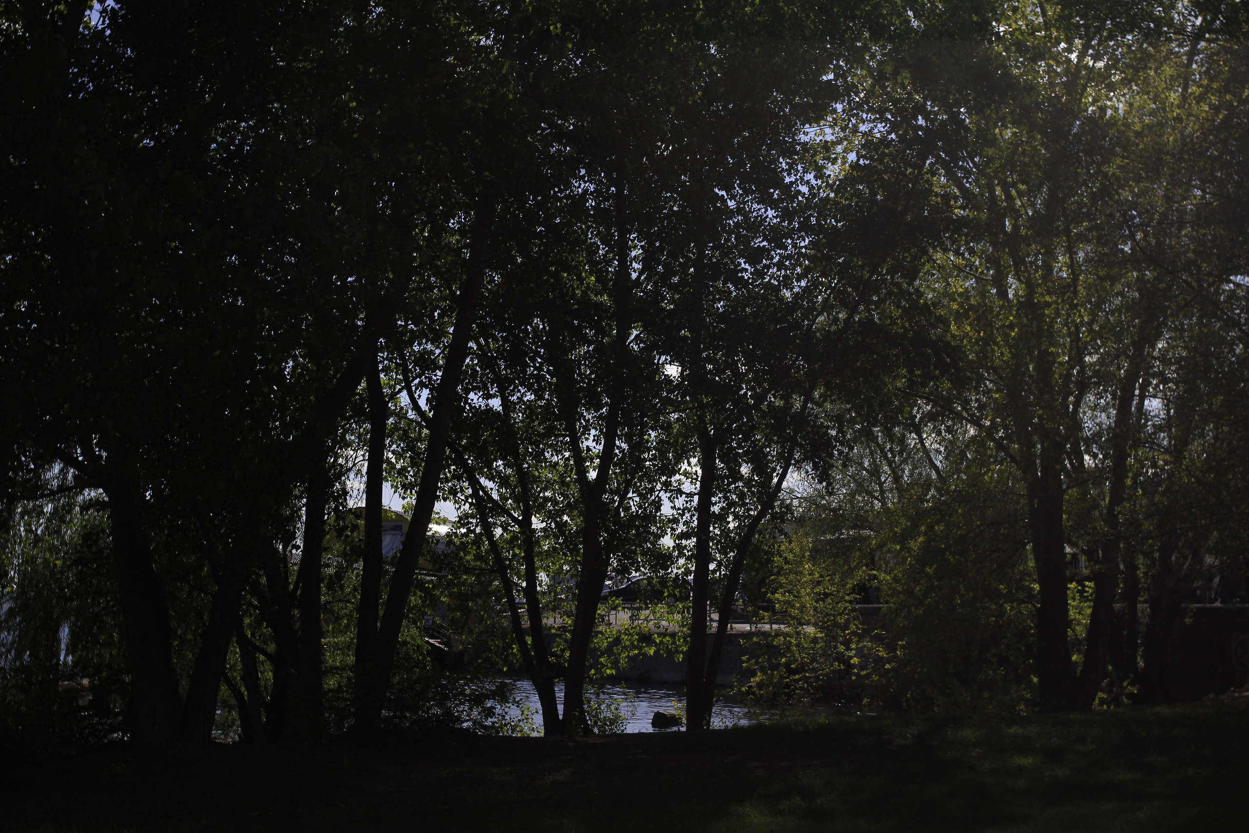 Пляжный волейбол: начинается сезон. Фотокрыжовник. Снимаем, дружим, путешествуем
