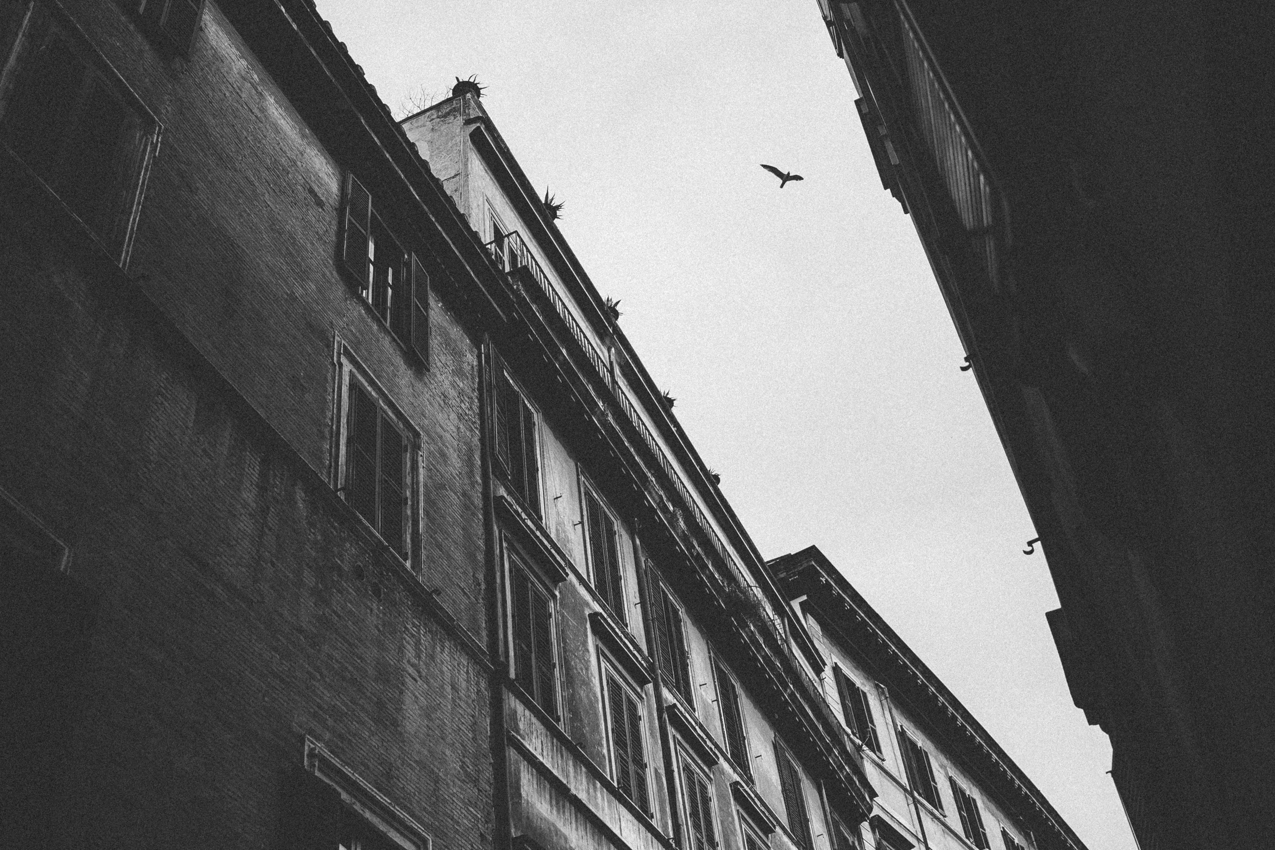 Отпечатки. Фотограф Дмитрий Щекочихин