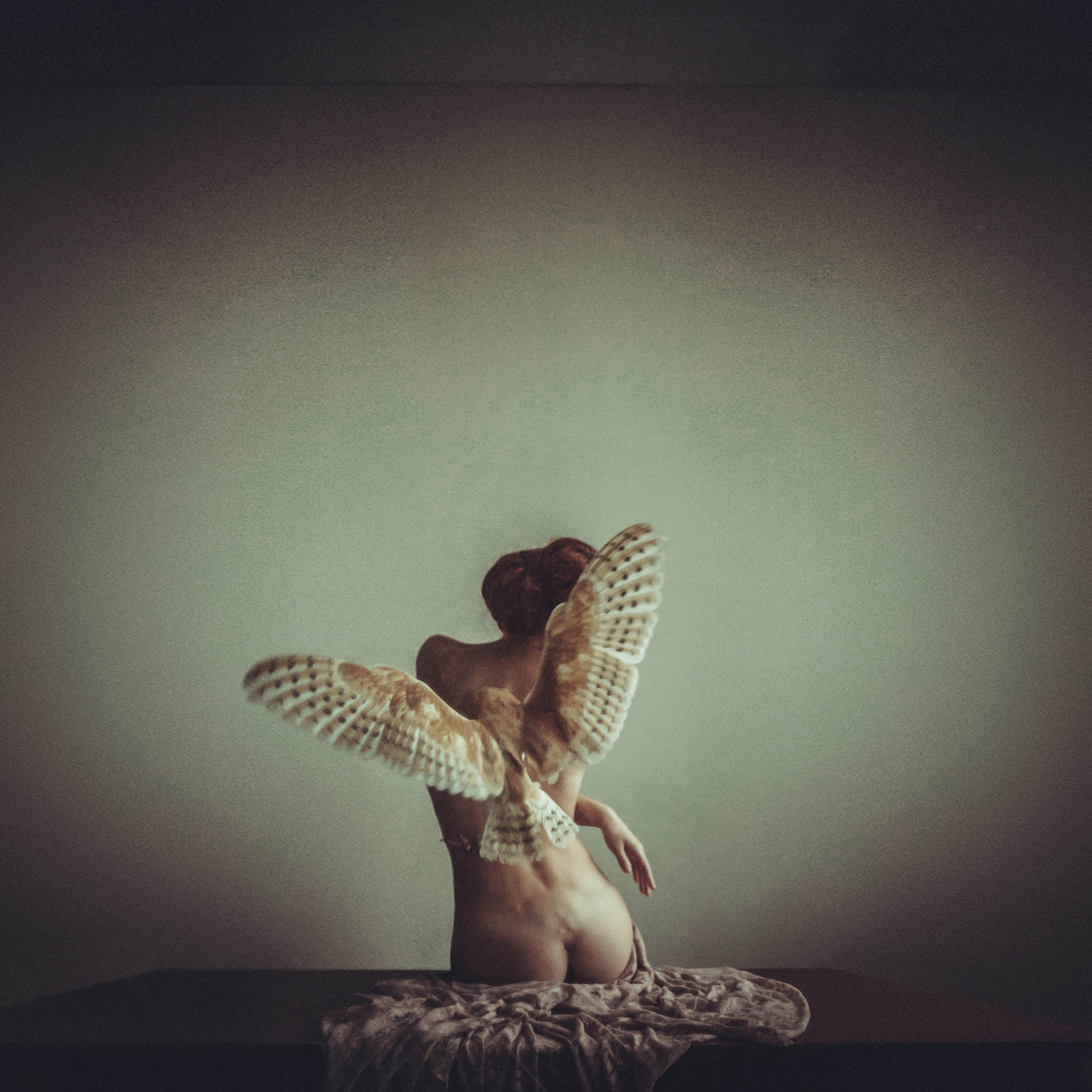 Отпечатки. Фотограф Дмитрий Щекочихин