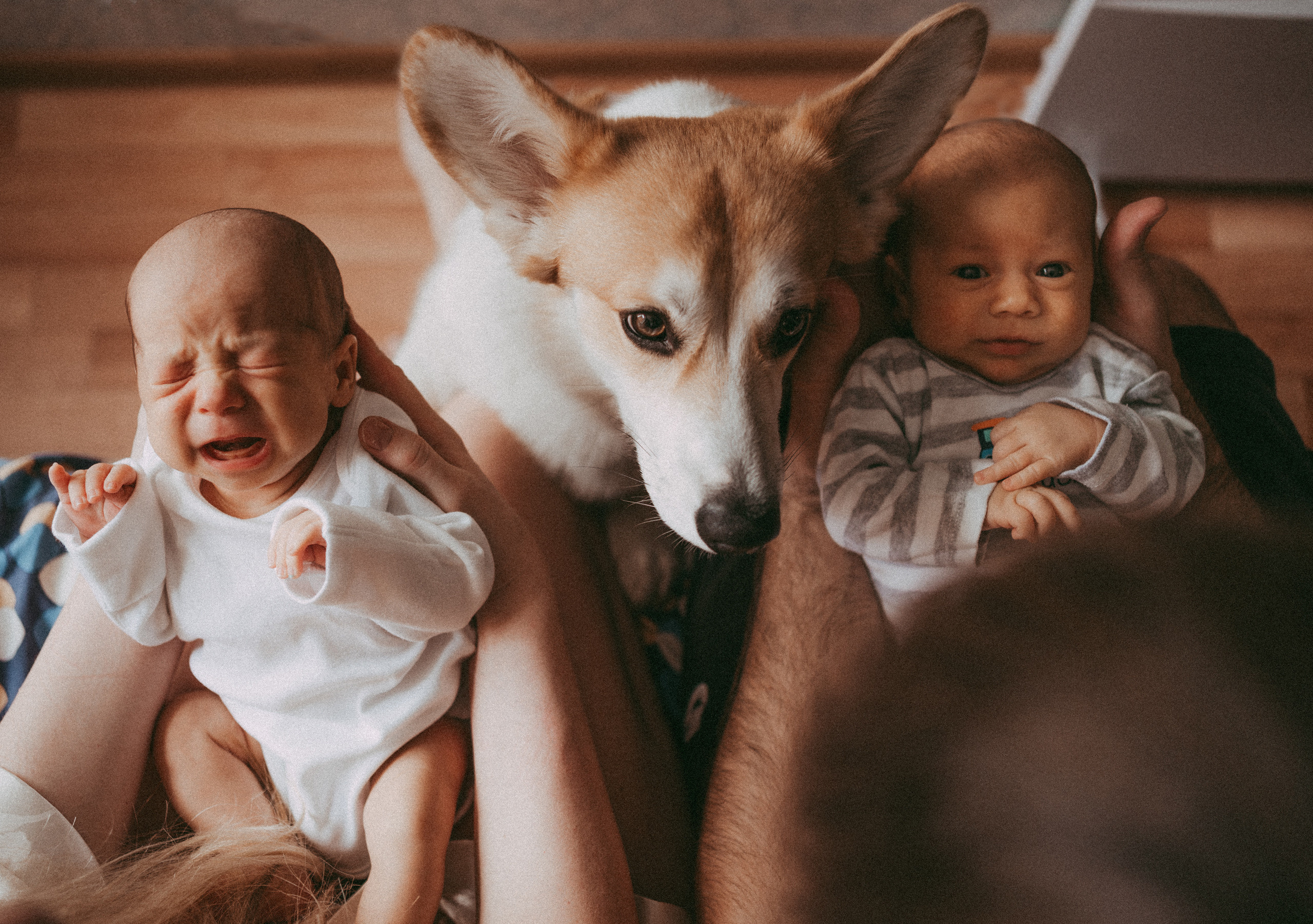 Детский и семейный фотограф в Красноярске Настя Ярош