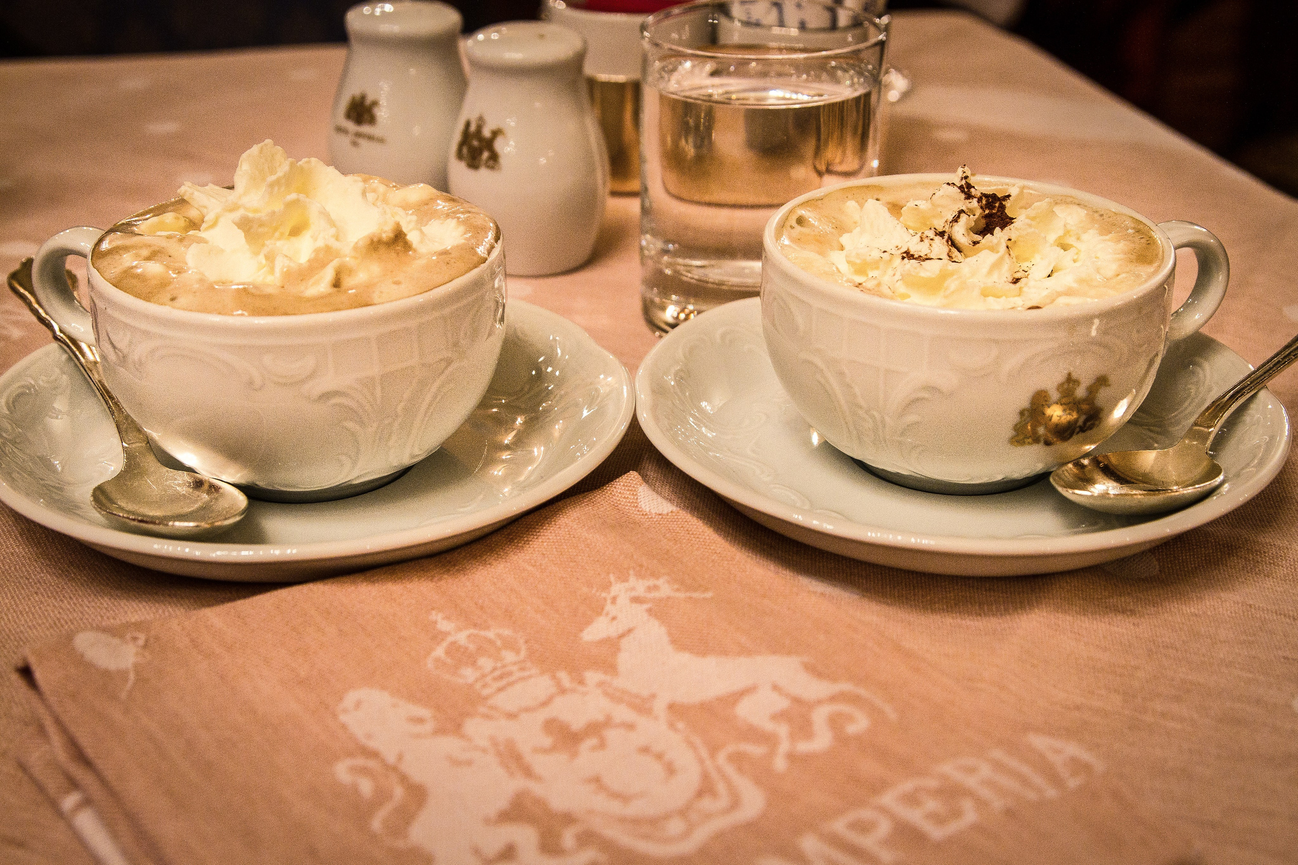 Австрия: Музыкальная Вена. Дарья Письменюк / Darya Leitstern — фотограф, музыкант, журналист, путешественник