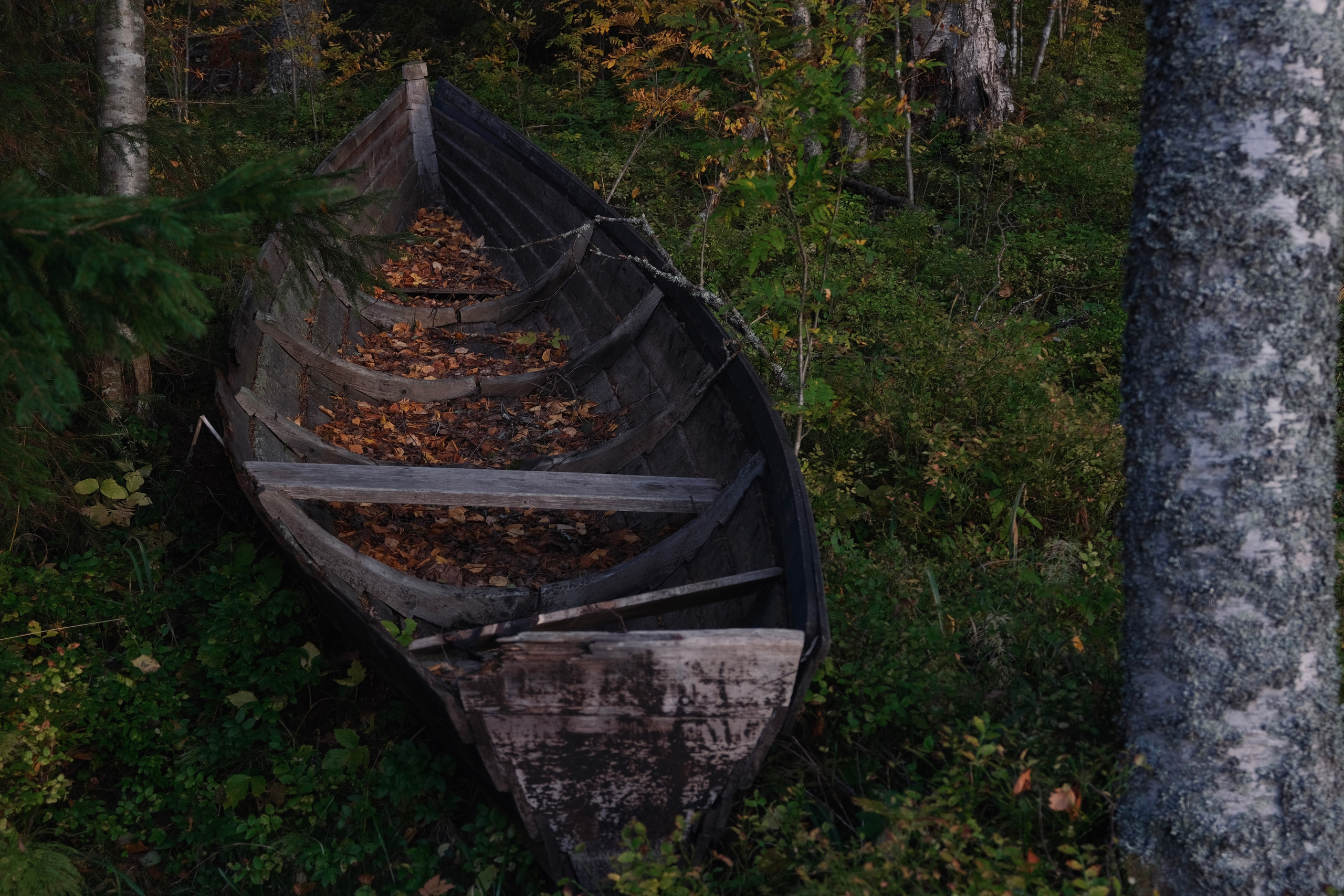 Русский север 27.09.25 — 05.10.25. Фотострелка