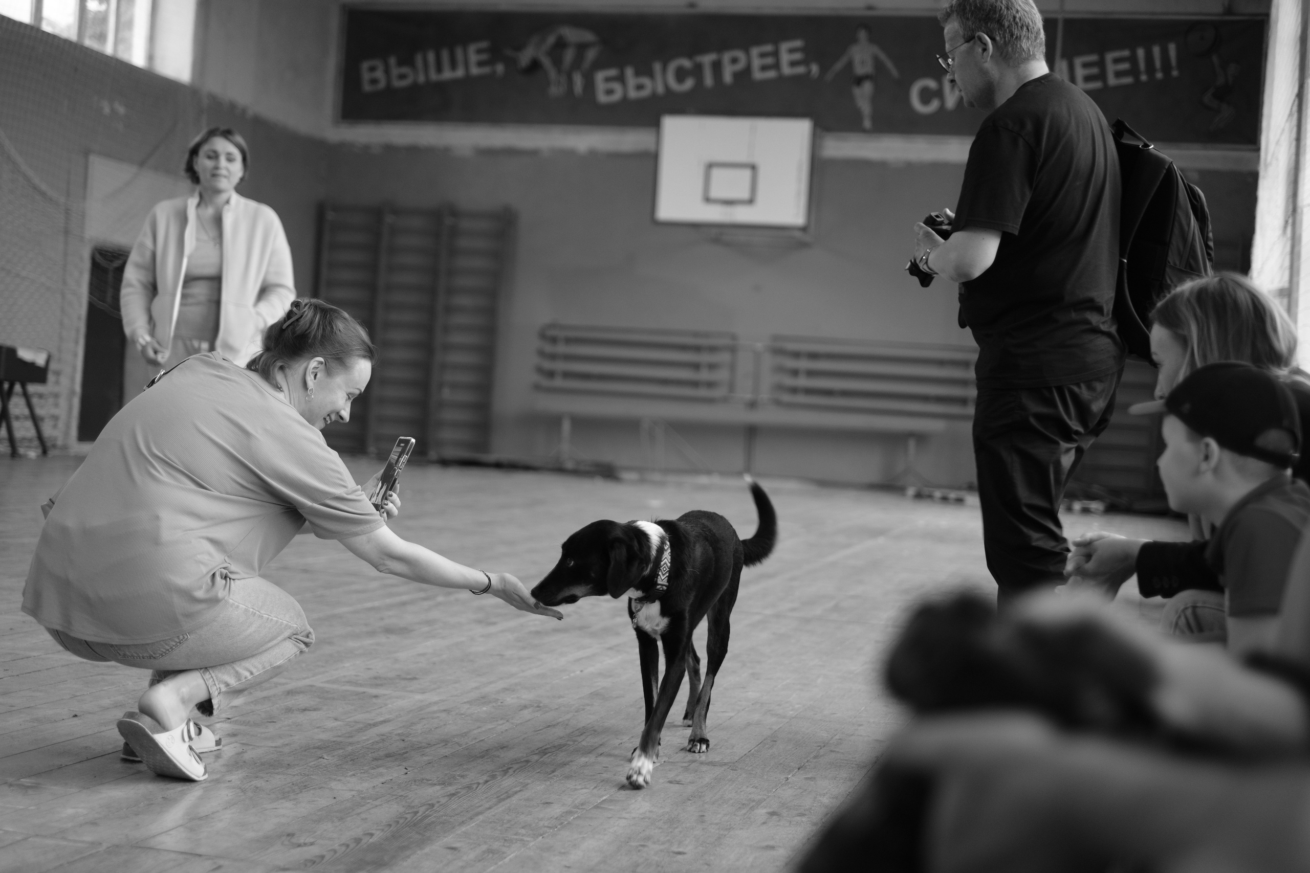 Медынь 12.06.2024. Фотострелка