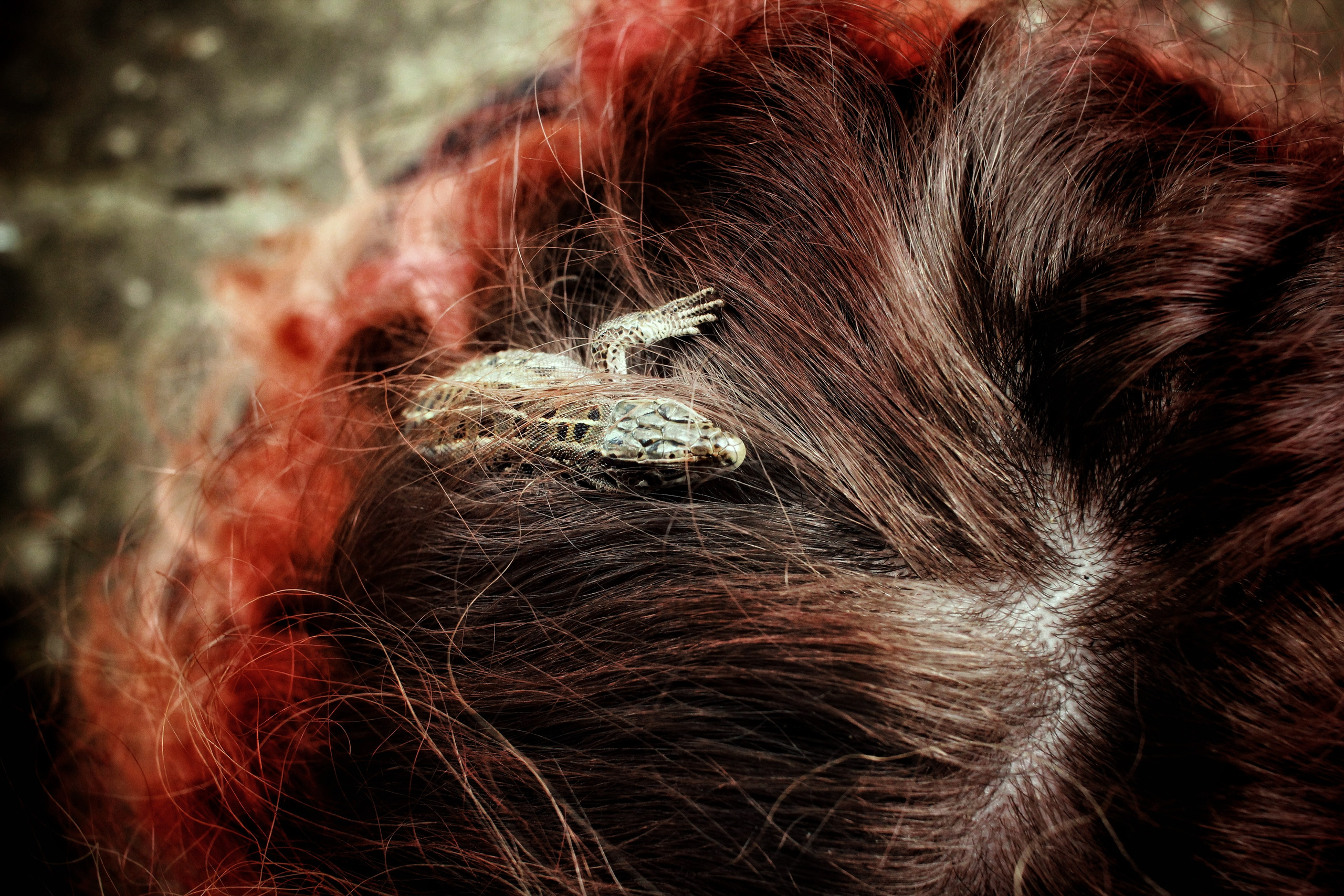 Исчезающие. Фотограф в Самаре Варвара Макарова