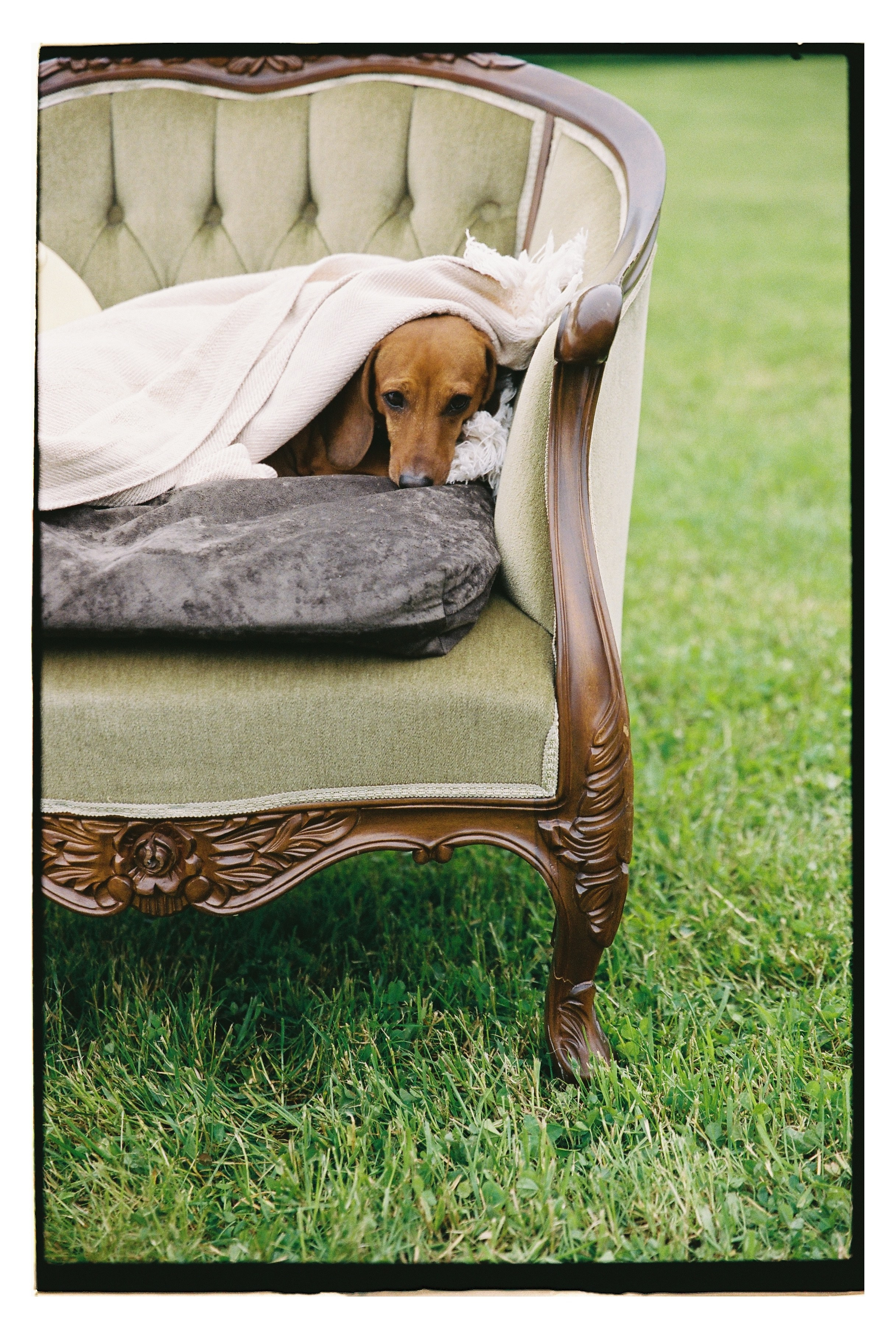 Стоимость Москва. Свадебный фотограф в Санкт-Петербурге, Москве, СПб Сергей Поддубный