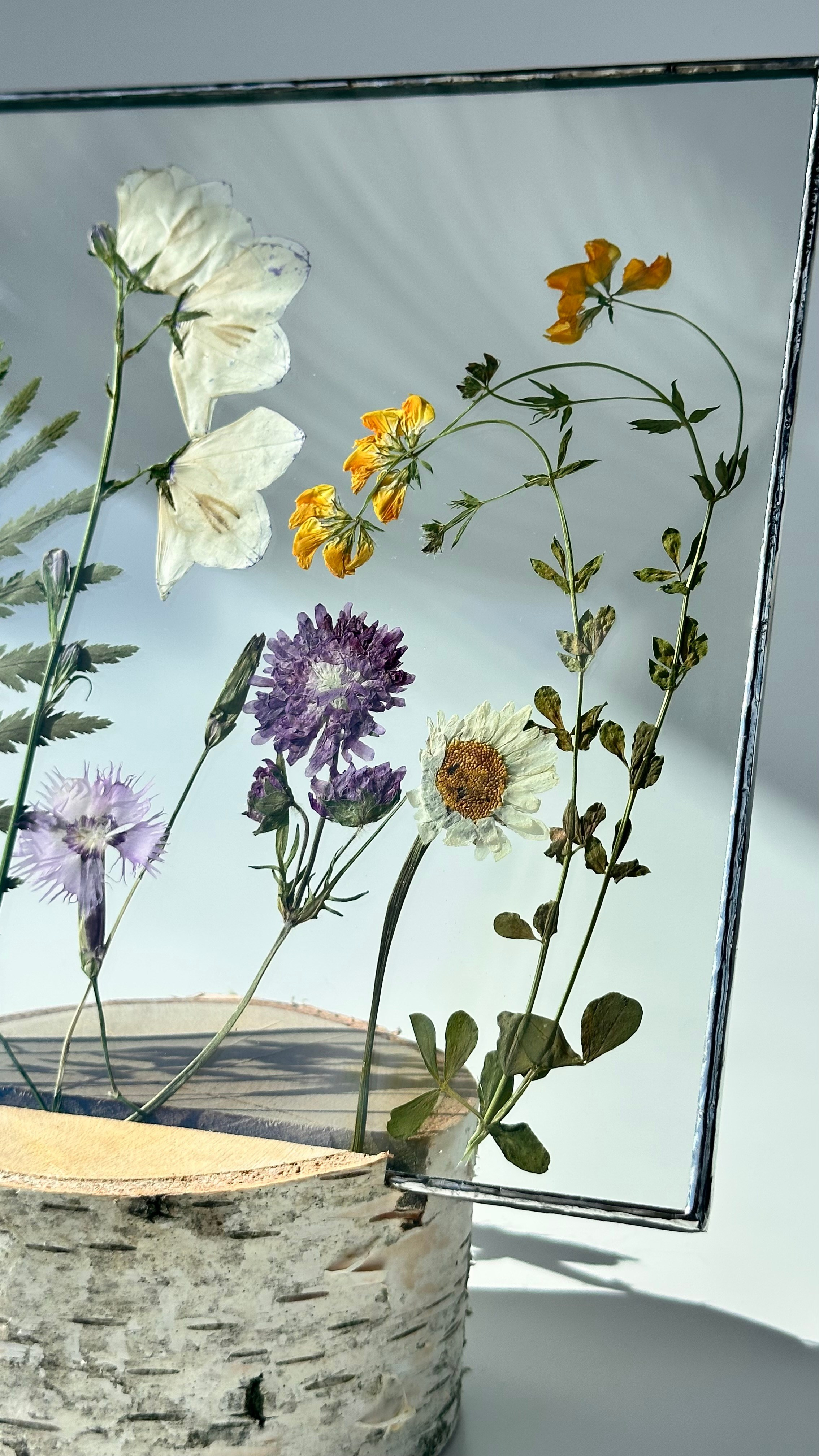 Колокольчики, гвоздики, ромашка Квадрат 20 см. Оформляю пространства. Витражи с сухоцветами в технике Тиффани