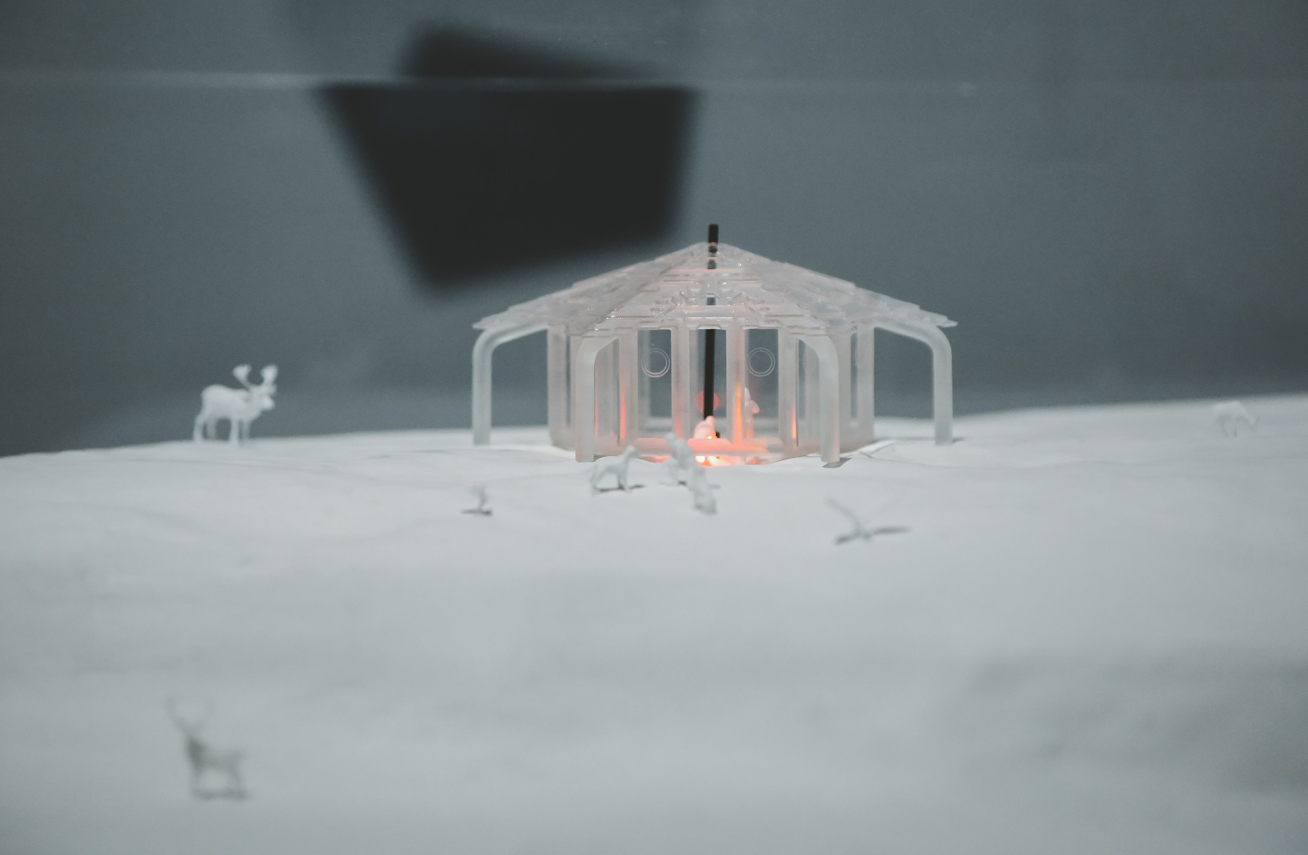 «Арктика. Полюс цвета» — о новой выставке в Третьяковской галерее. Дарья Письменюк / Darya Leitstern — фотограф, музыкант, журналист, путешественник