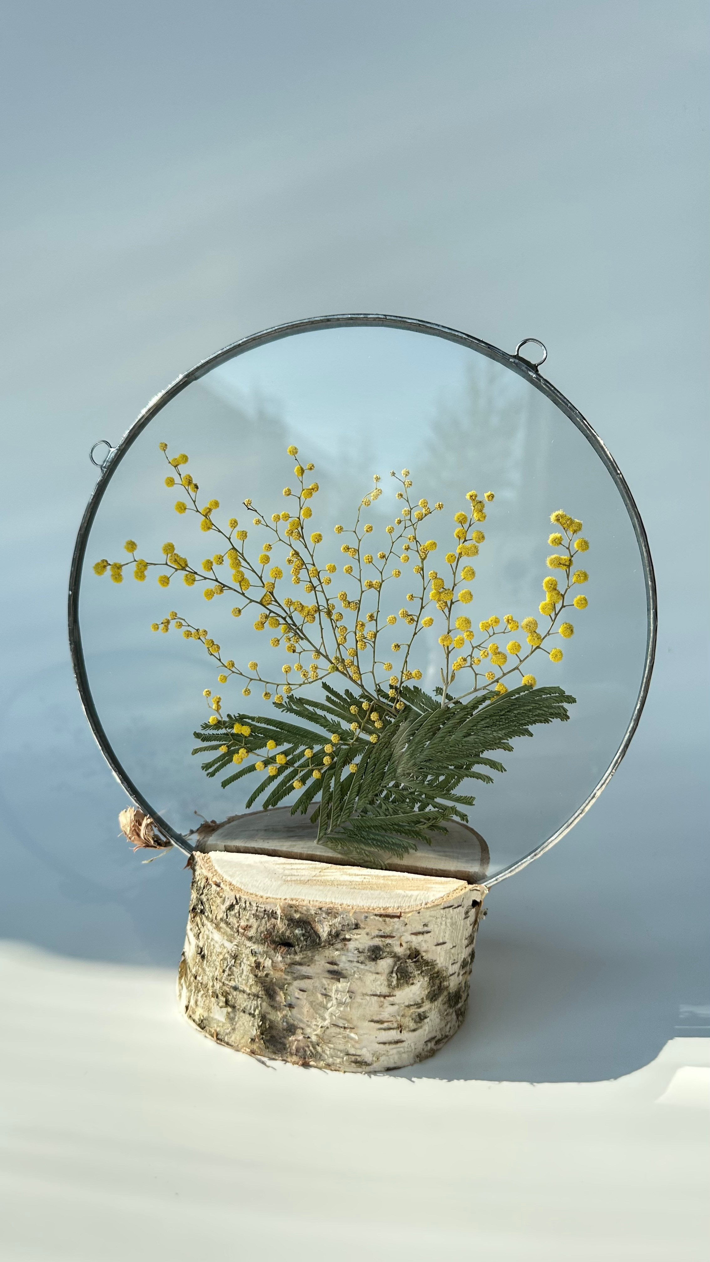 Мимоза круг 20 см. Оформляю пространства. Витражи с сухоцветами в технике Тиффани