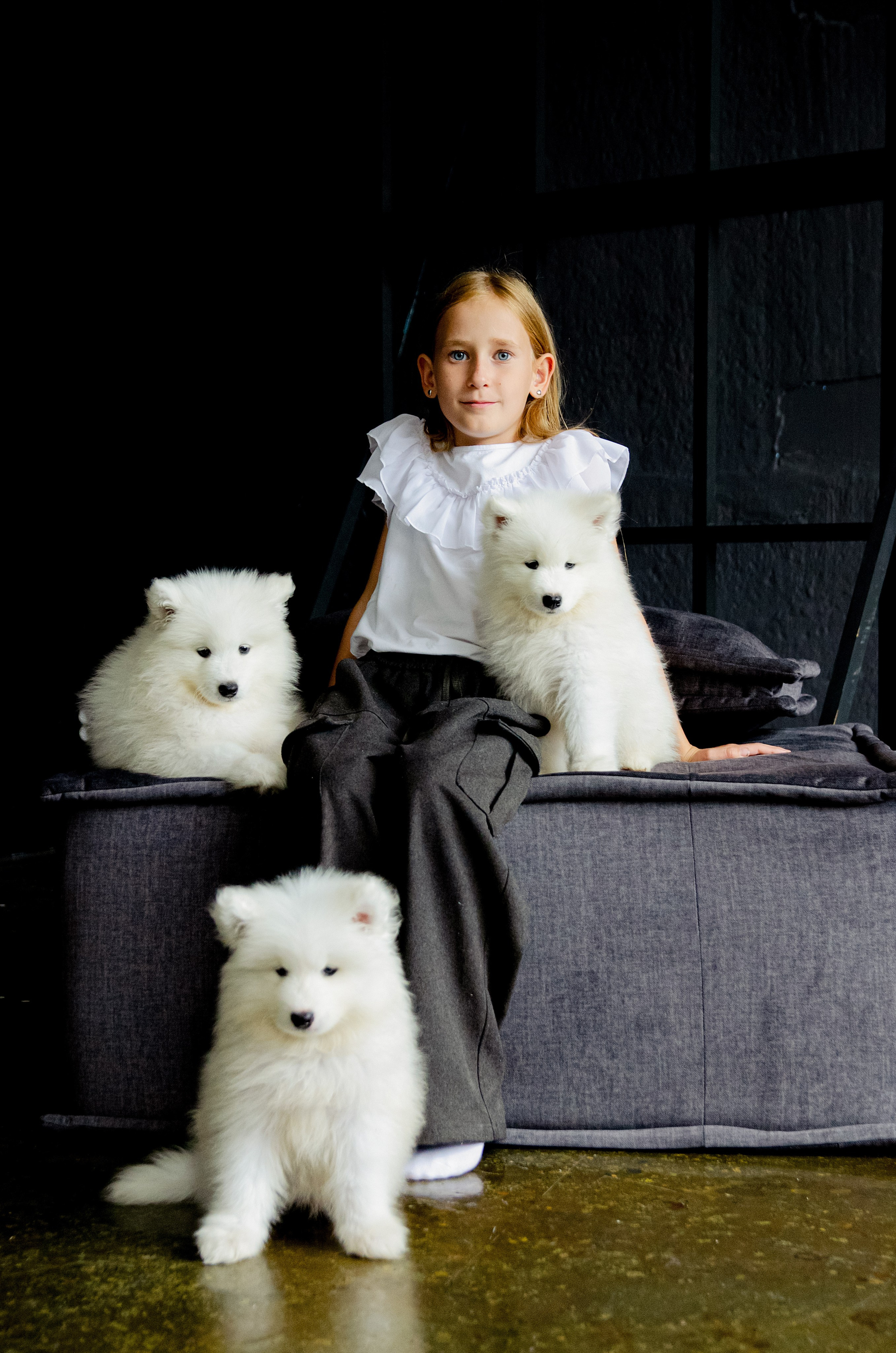 Фотосессия с щенками. Фотограф в Хабаровске