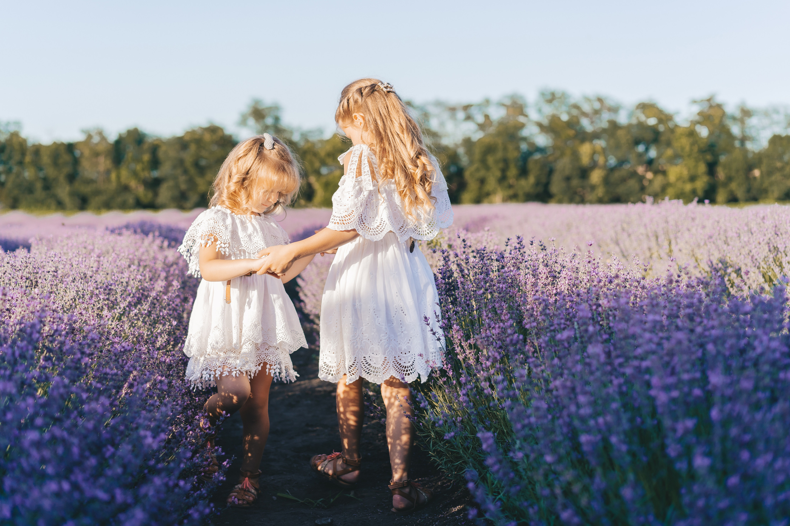 Лаванда. Семейный Lifestyle фотограф г. Лабинск