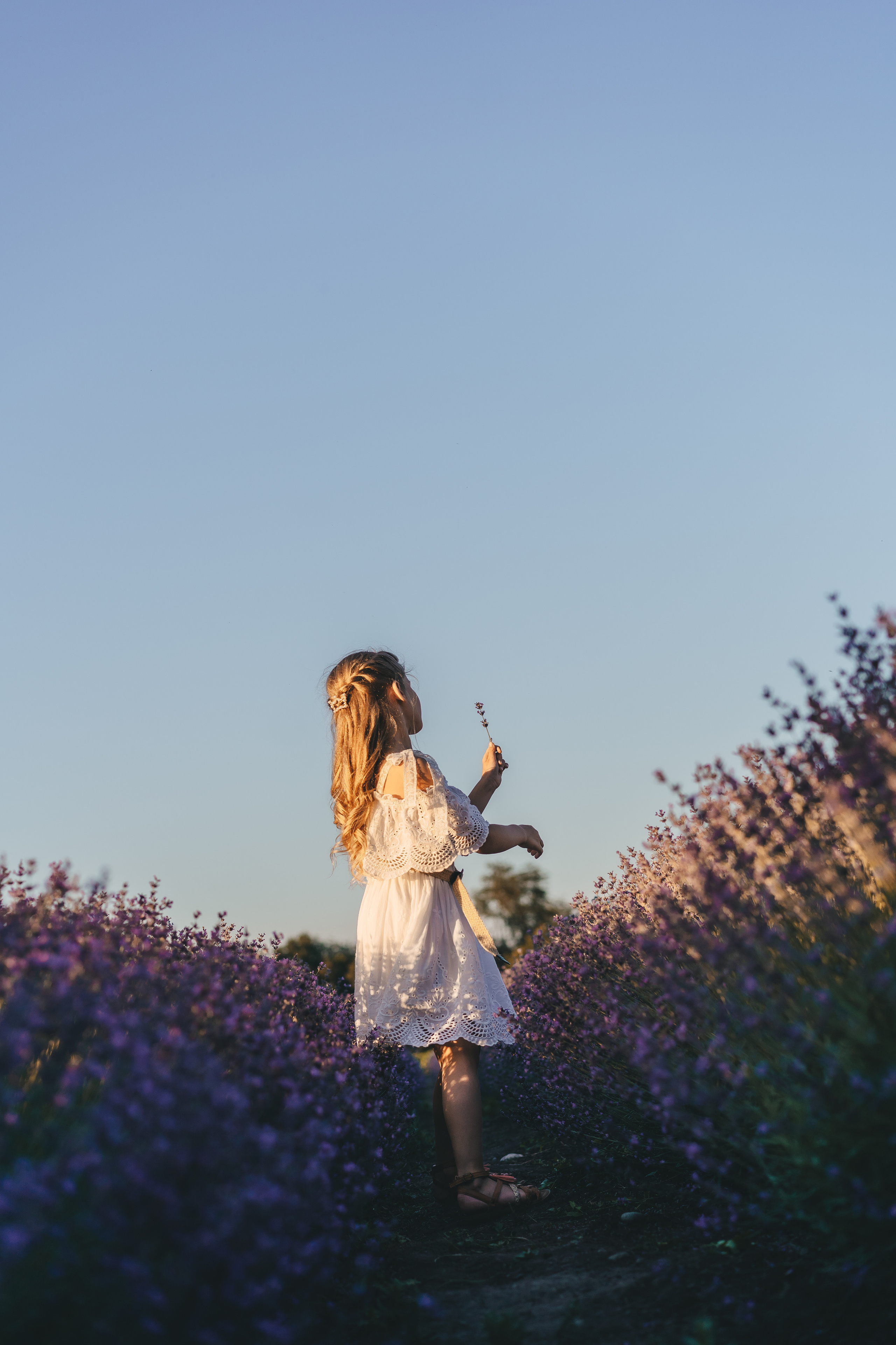 Лаванда. Семейный Lifestyle фотограф г. Лабинск