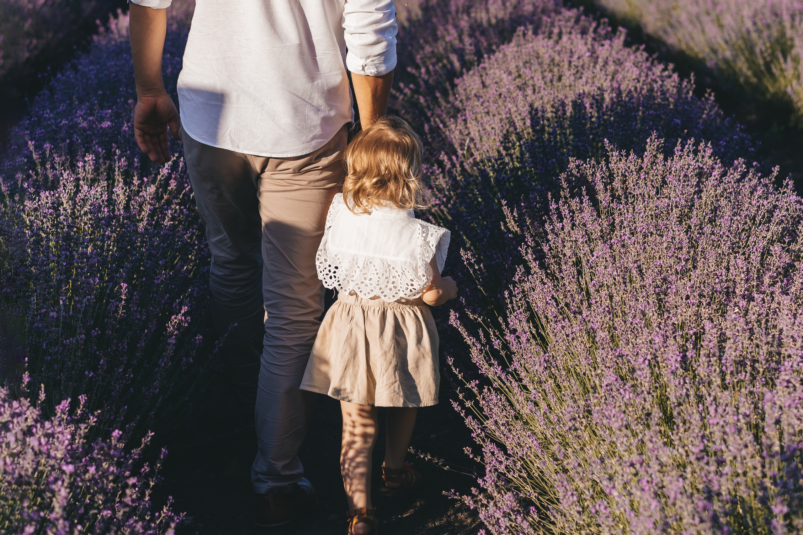 Лаванда. Семейный Lifestyle фотограф г. Лабинск
