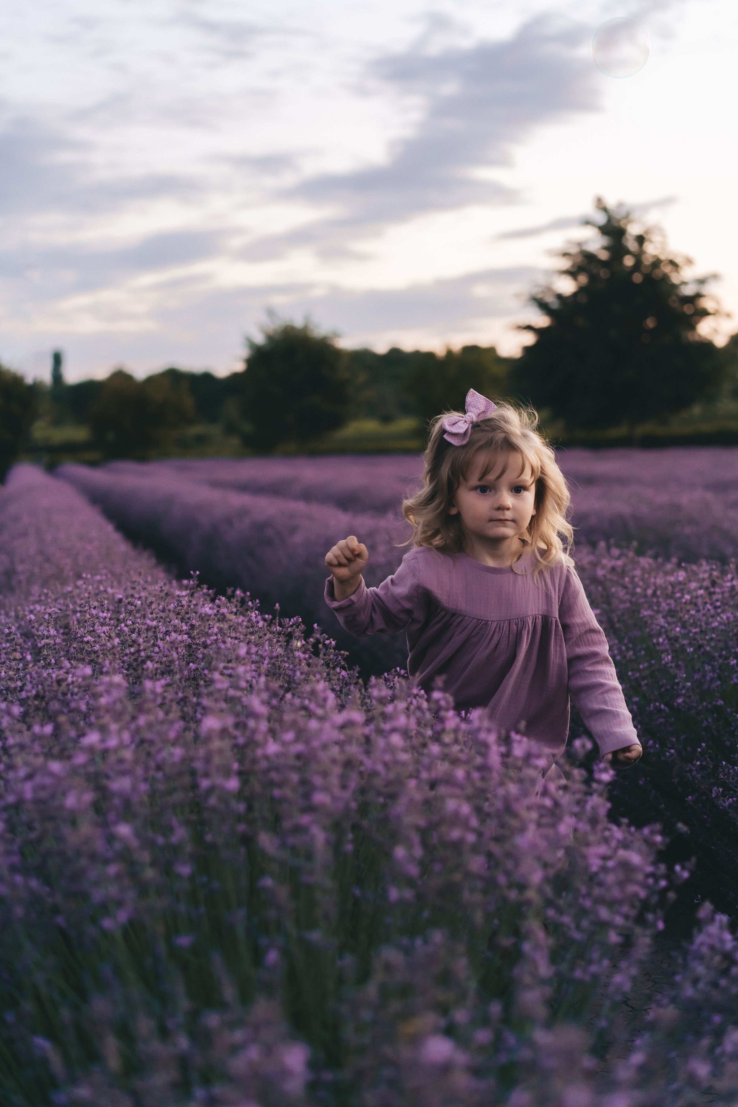 Лаванда. Семейный Lifestyle фотограф г. Лабинск