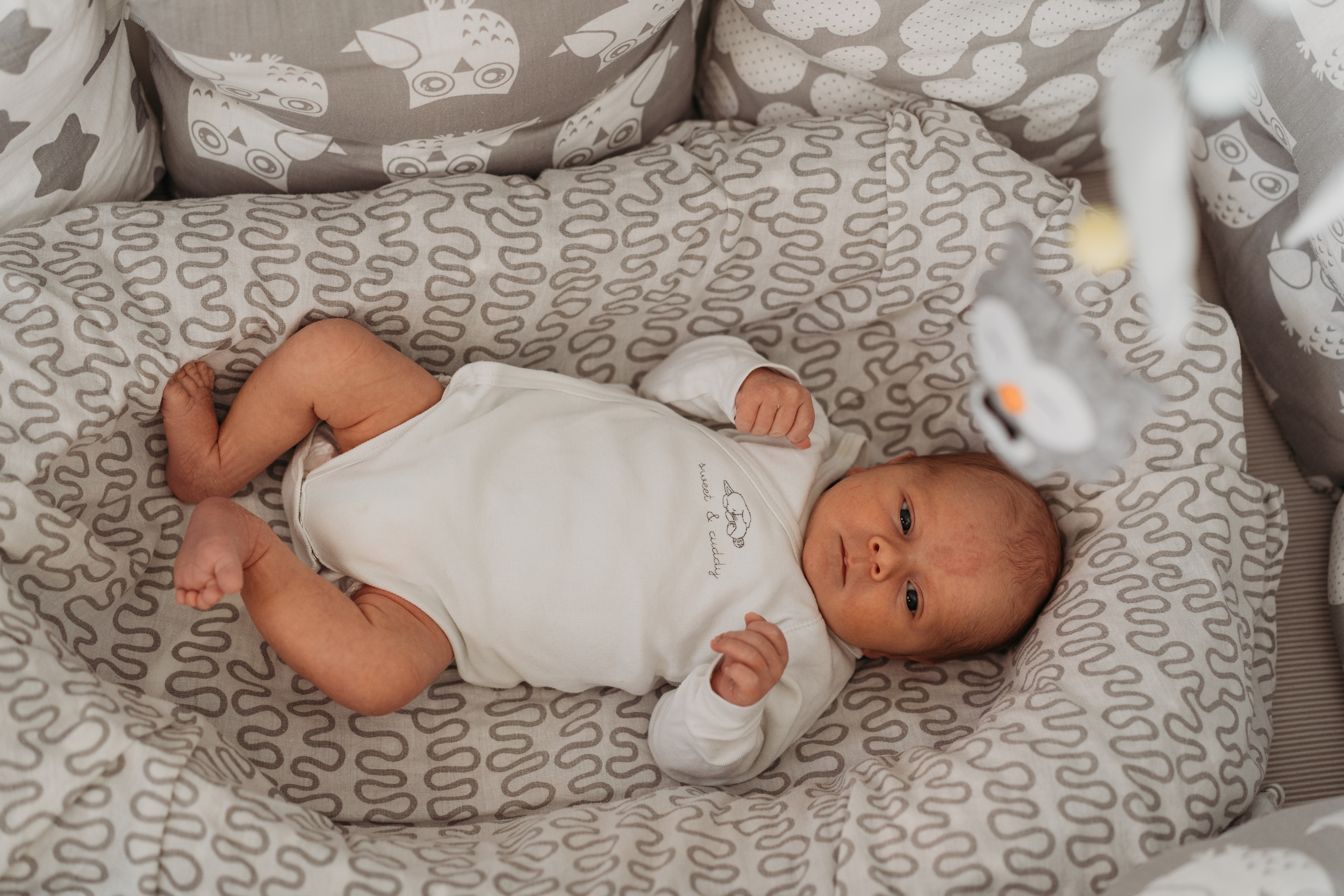 Малыш. Семейный Lifestyle фотограф г. Лабинск