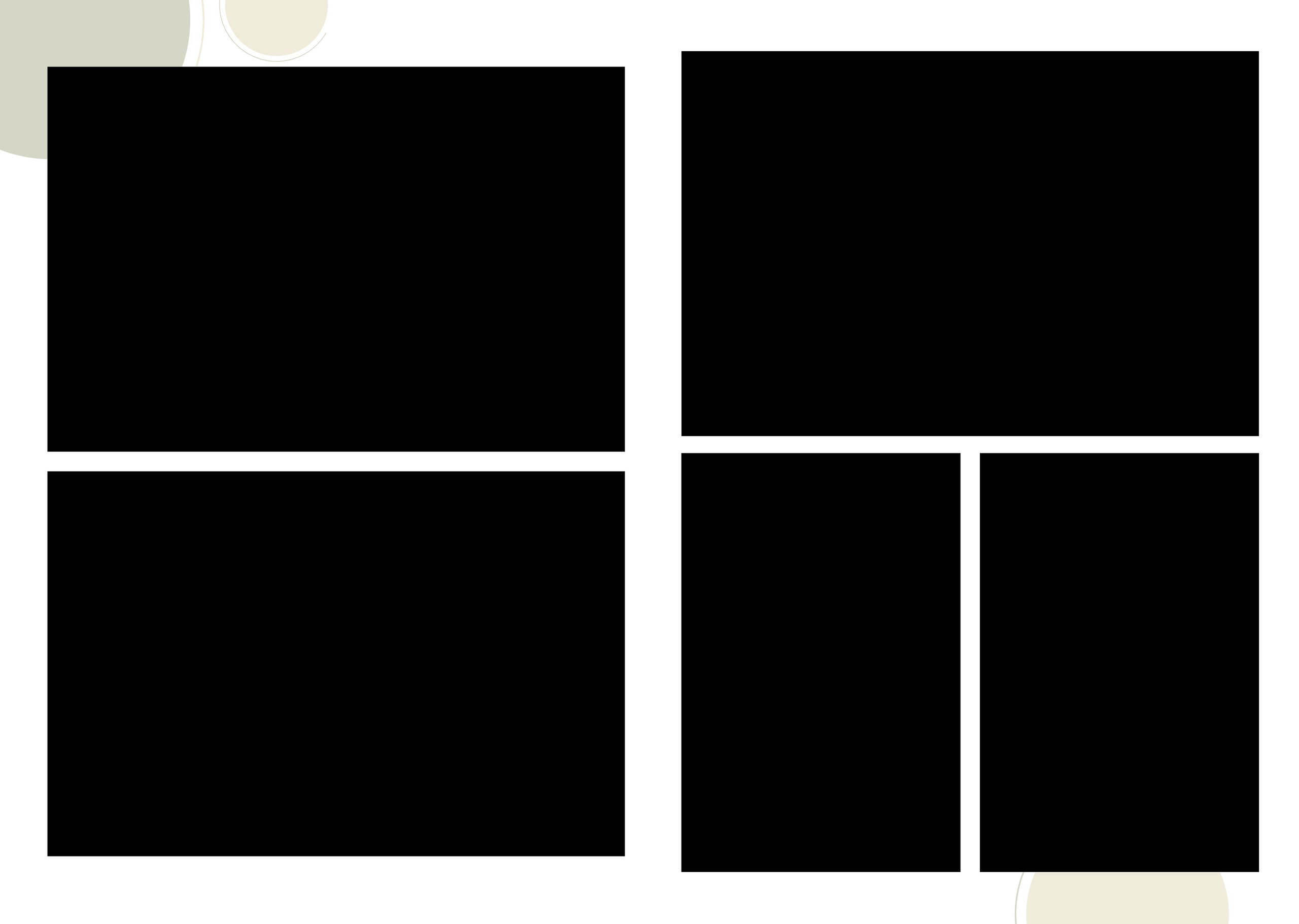 Оливковый. ТВОЙ АЛЬБОМ / ТВОИ ПРАВИЛА