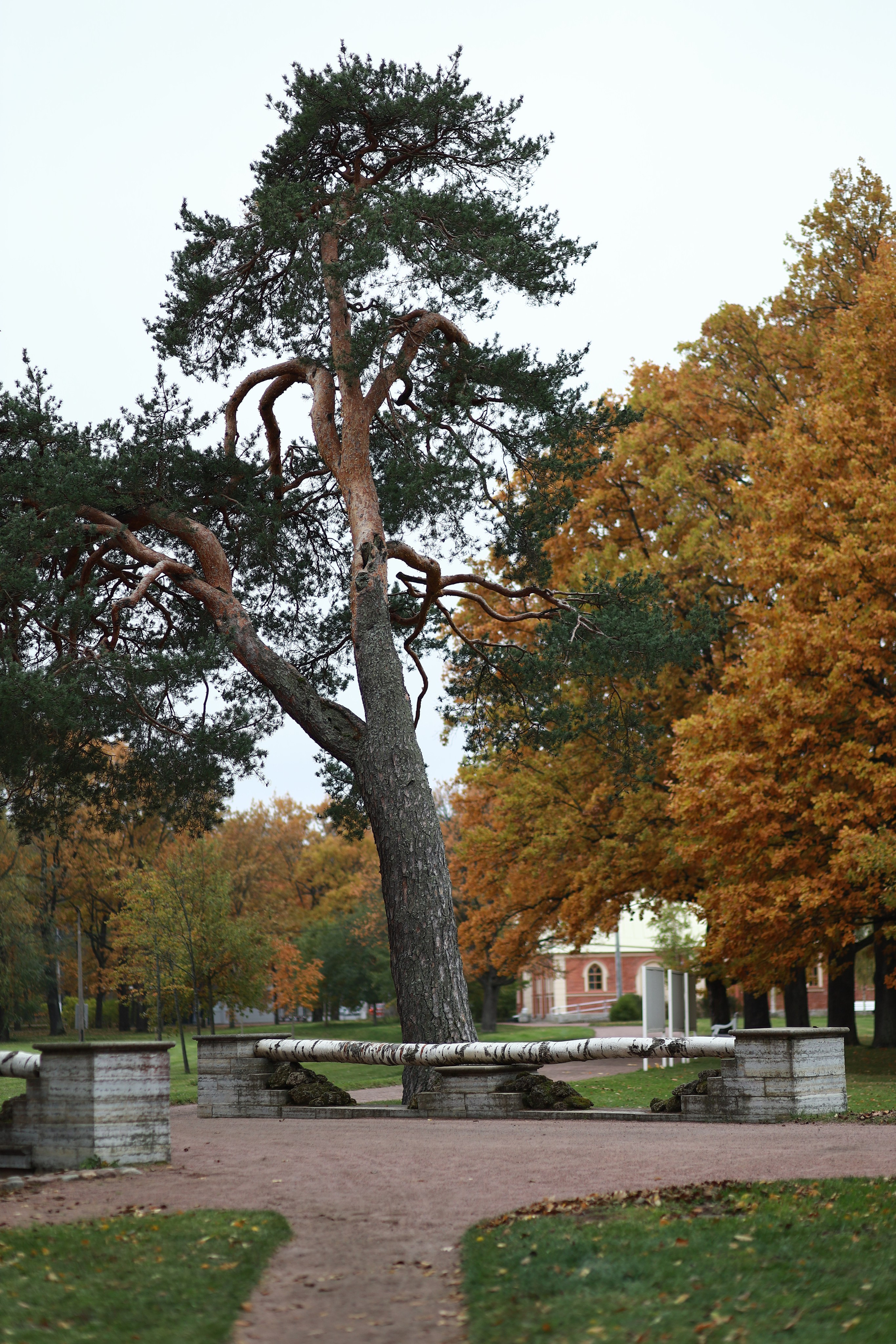 ФОТОСЕССИЯ В ПЕТЕРГОФЕ. ГДЕ СНИМАТЬ В ПЕТЕРГОФЕ