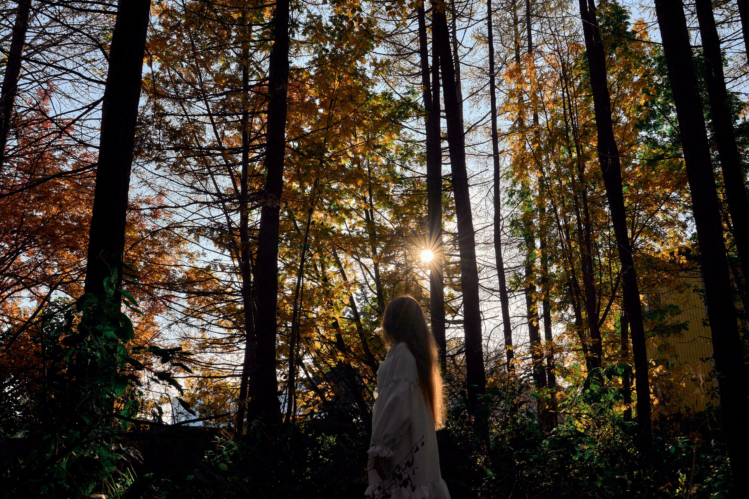 Студийный фотограф в Петропавловске-Камчатском