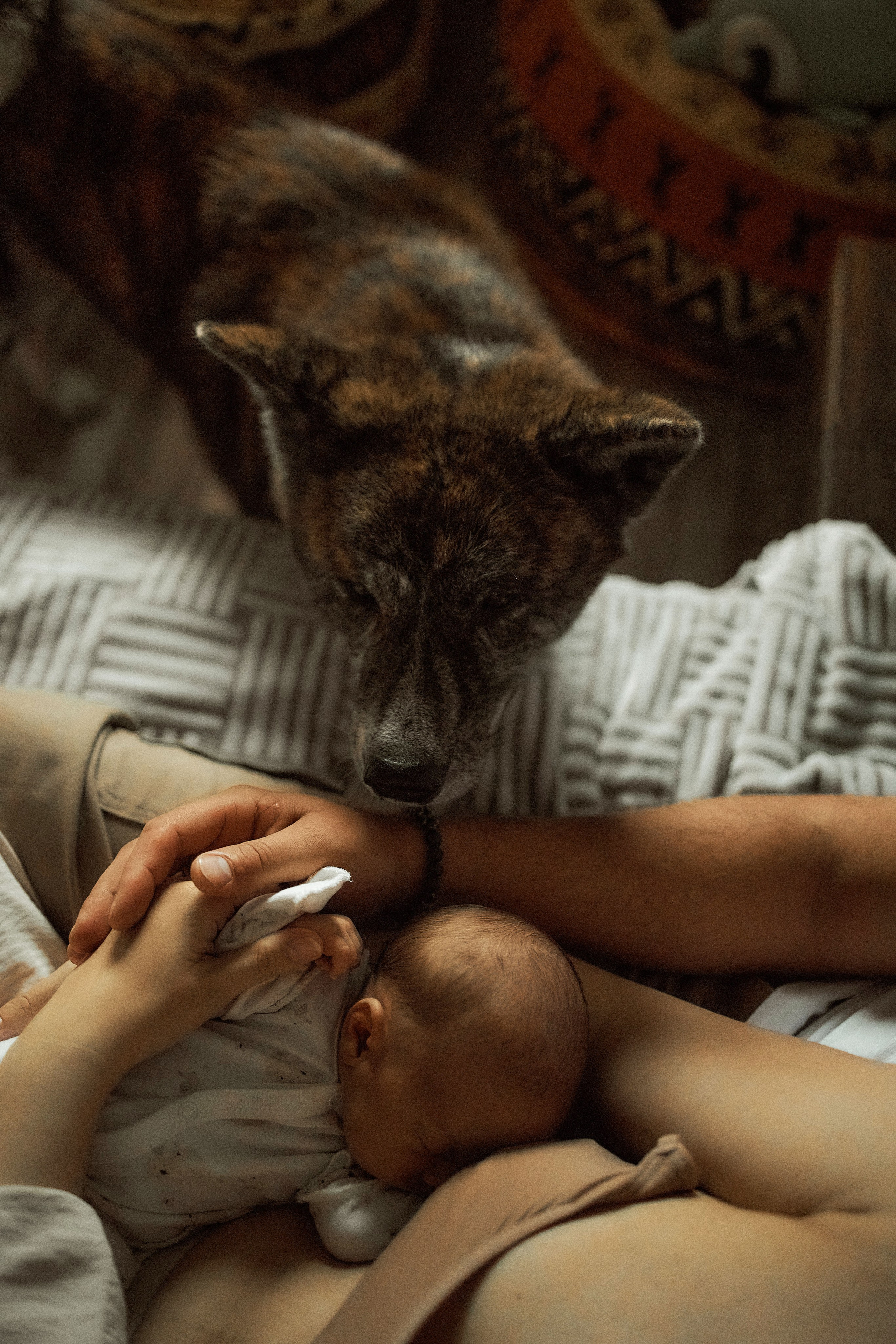 Портфолио. Edomaphoto.ru