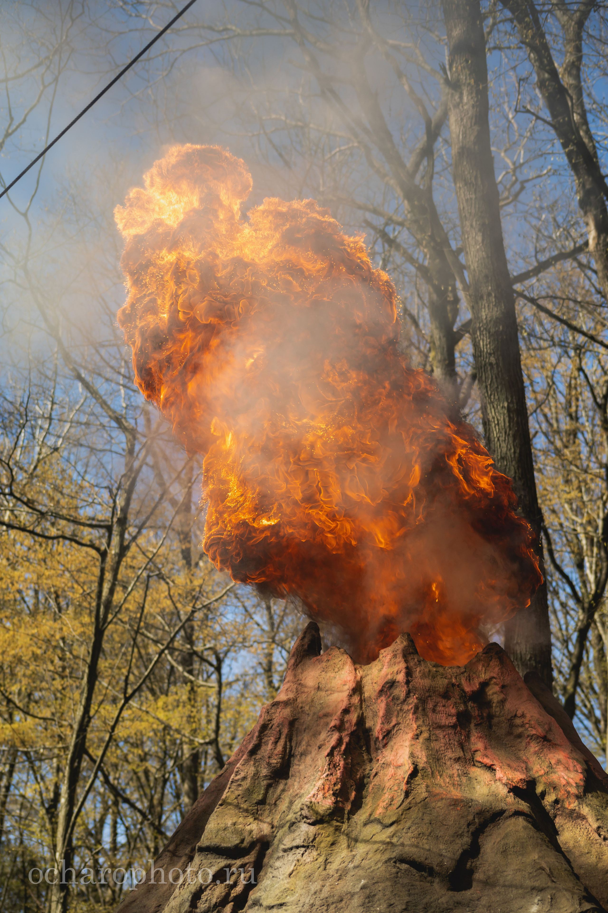 Парк Янтарного периода. AI-контент (генерации ИИ-фото и видео), стоковые фотографии Калининградской области
