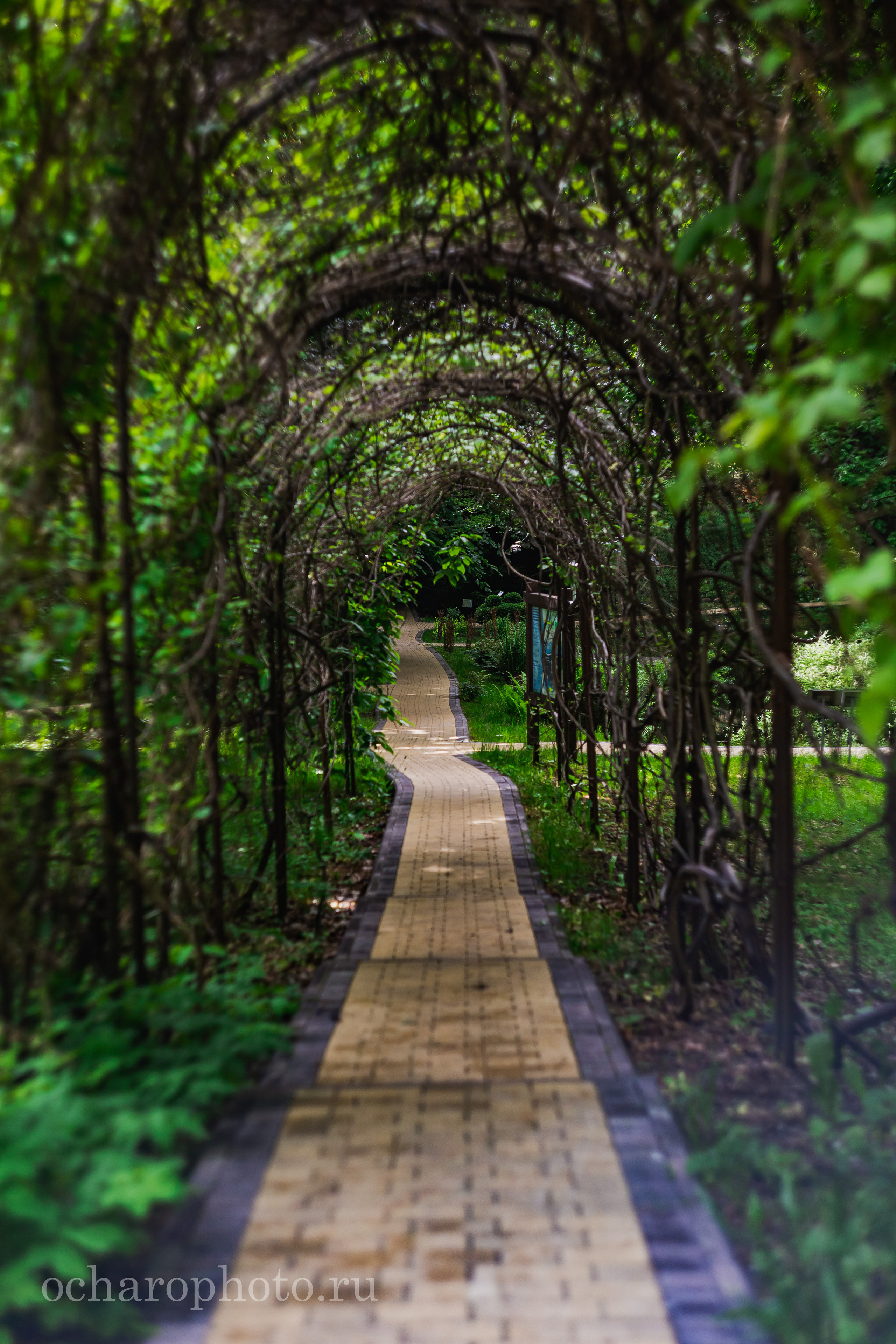 Ландшафтный парк Калининграда. AI-контент (генерации ИИ-фото и видео), стоковые фотографии Калининградской области