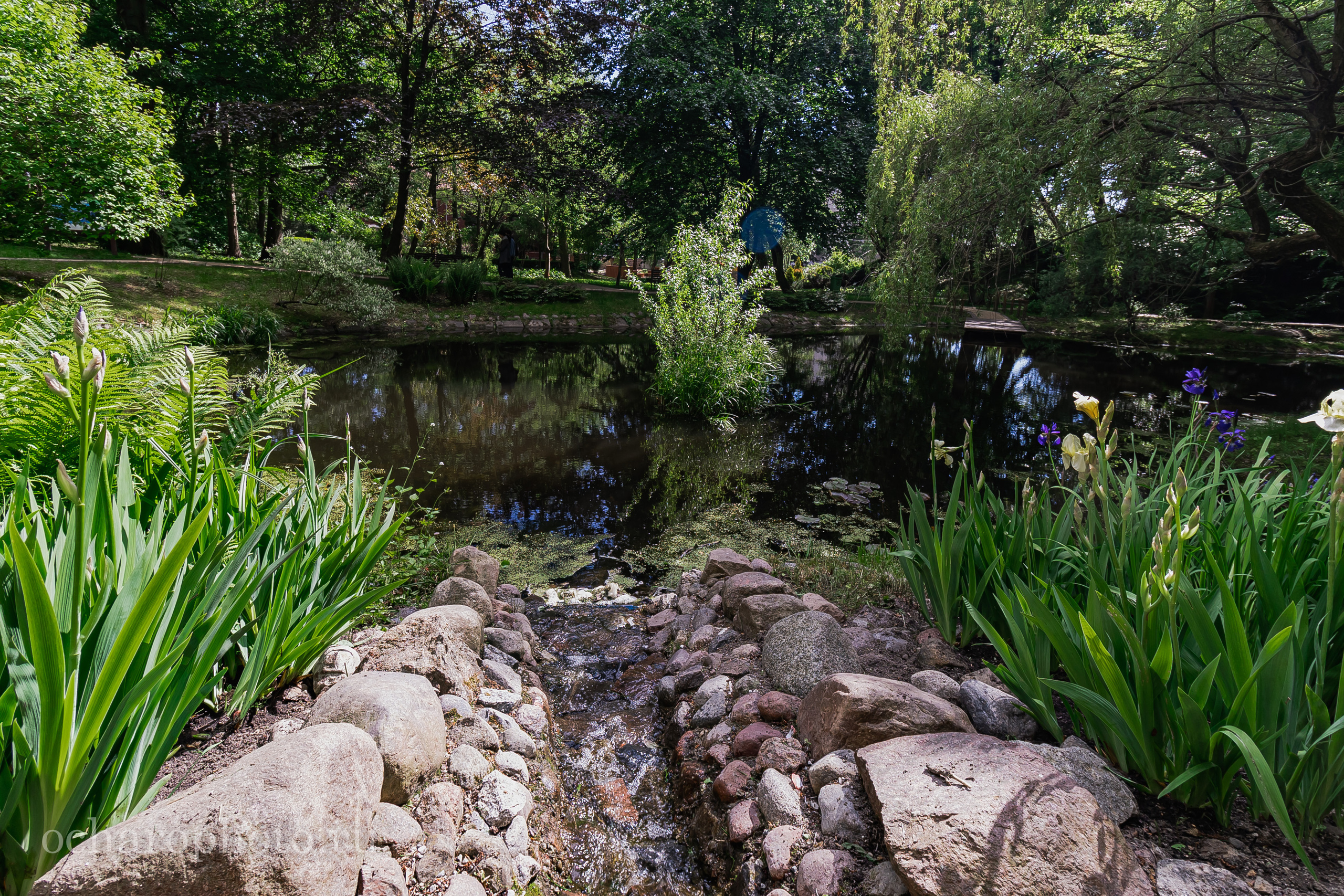 Ландшафтный парк Калининграда. AI-контент (генерации ИИ-фото и видео), стоковые фотографии Калининградской области