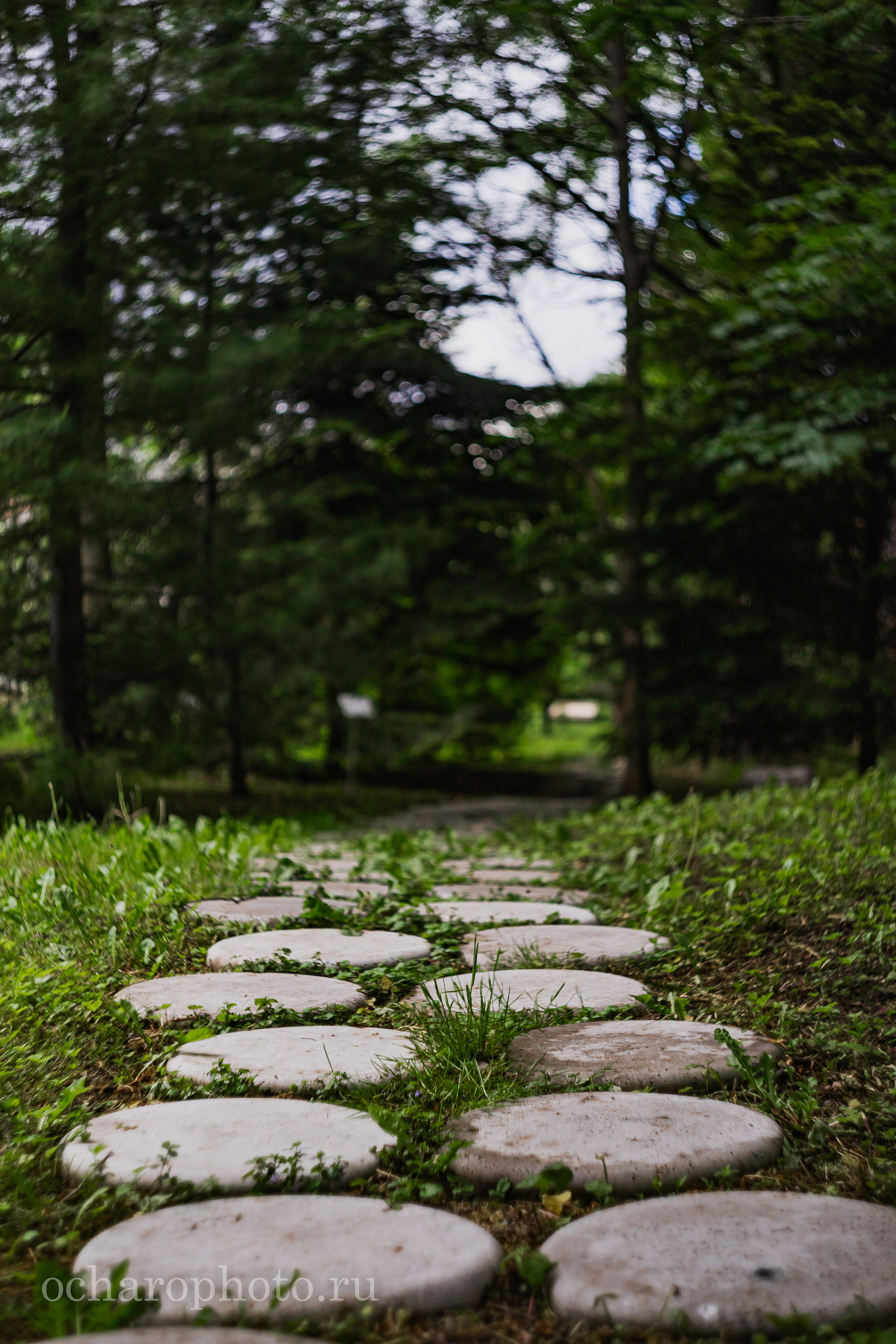Ландшафтный парк Калининграда. AI-контент (генерации ИИ-фото и видео), стоковые фотографии Калининградской области