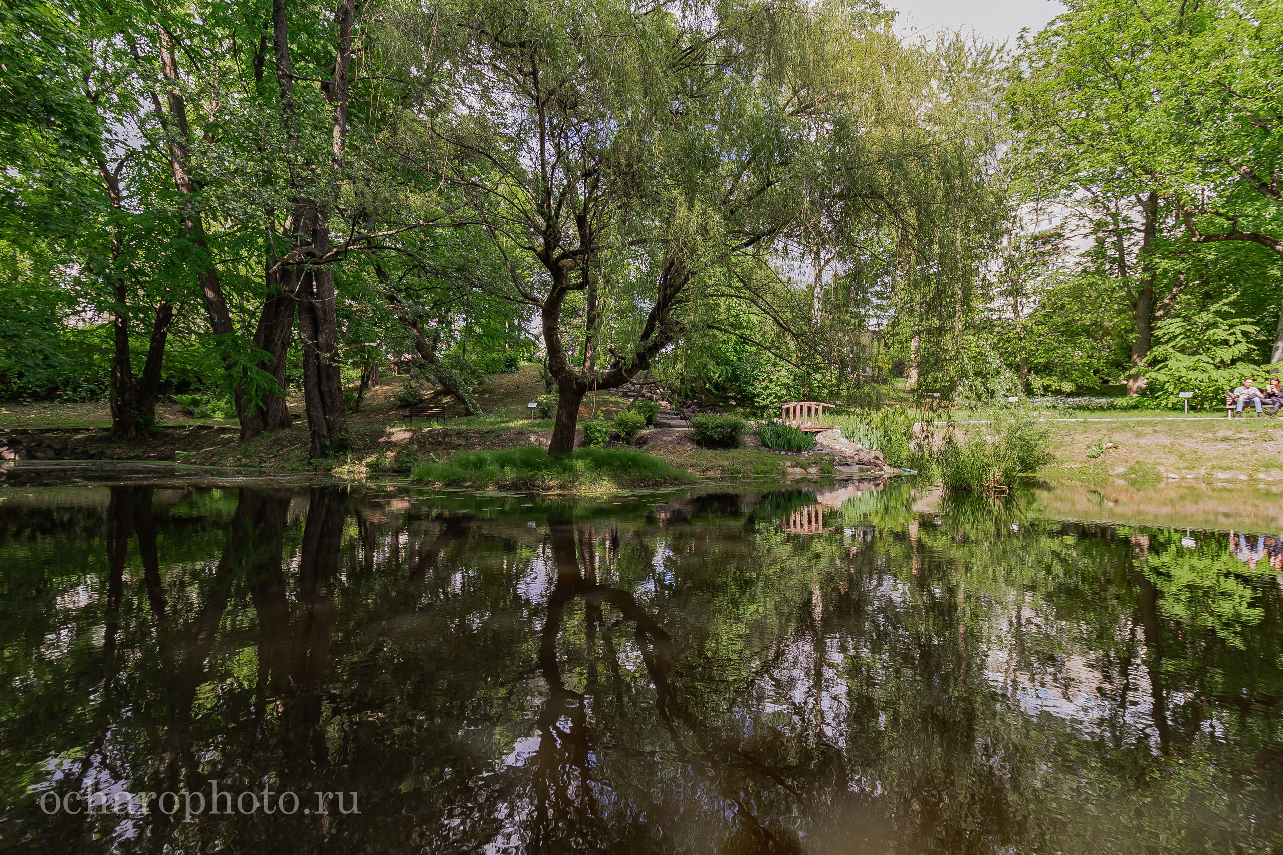 Ландшафтный парк Калининграда. AI-контент (генерации ИИ-фото и видео), стоковые фотографии Калининградской области