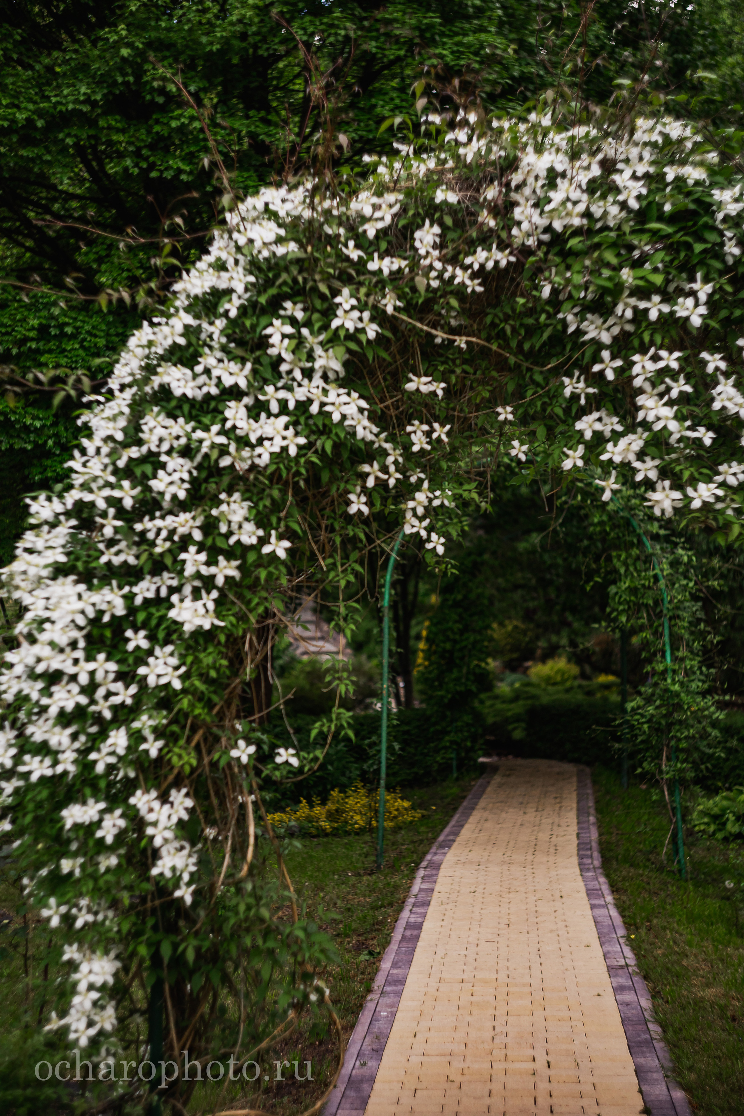 Ландшафтный парк Калининграда. AI-контент (генерации ИИ-фото и видео), стоковые фотографии Калининградской области