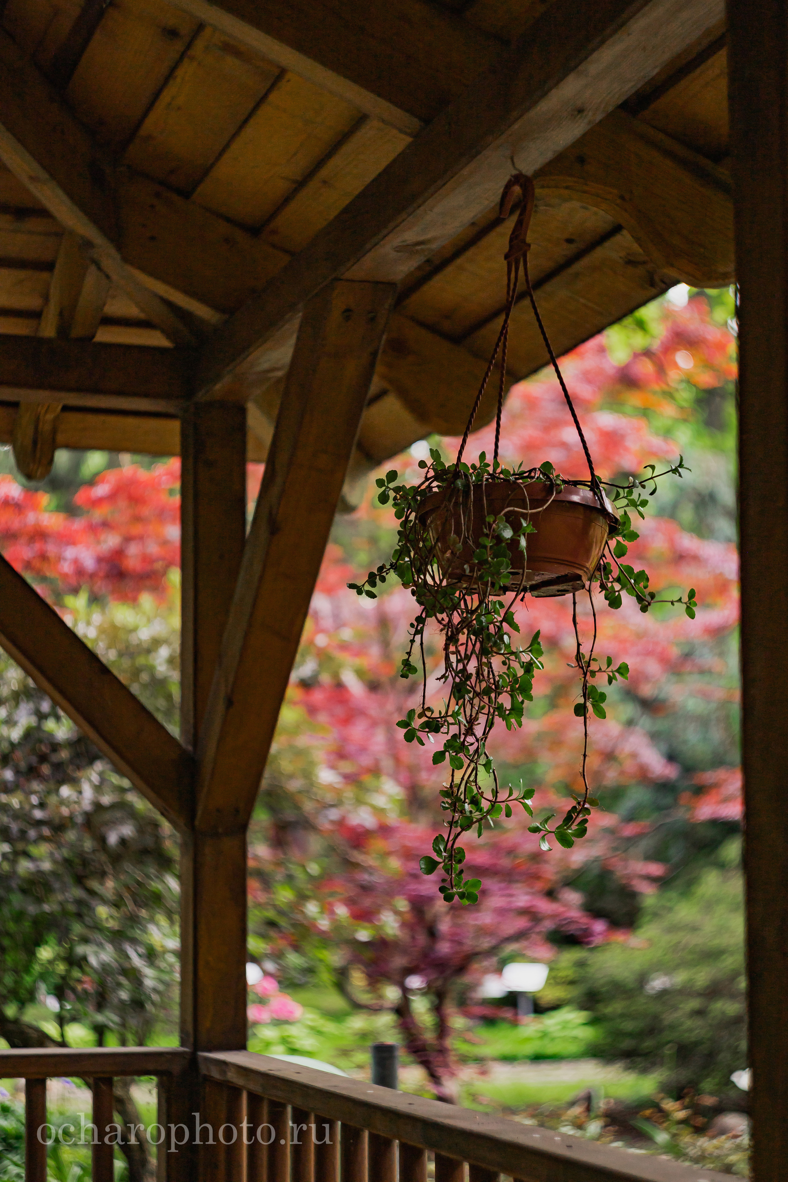 Ландшафтный парк Калининграда. AI-контент (генерации ИИ-фото и видео), стоковые фотографии Калининградской области