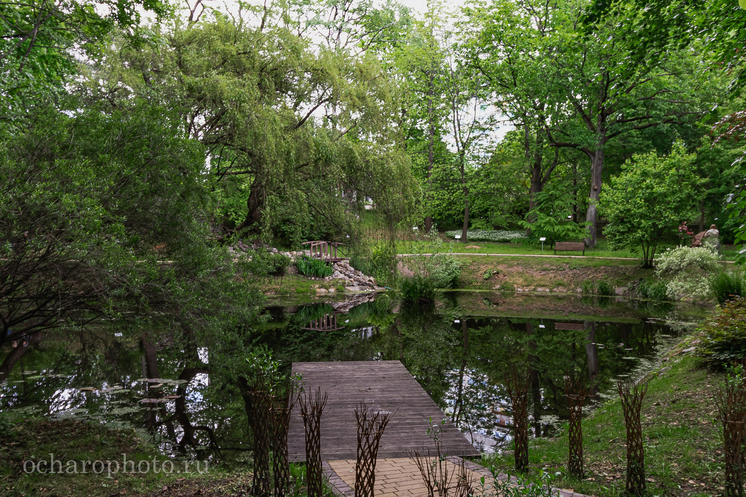 Ландшафтный парк Калининграда. AI-контент (генерации ИИ-фото и видео), стоковые фотографии Калининградской области