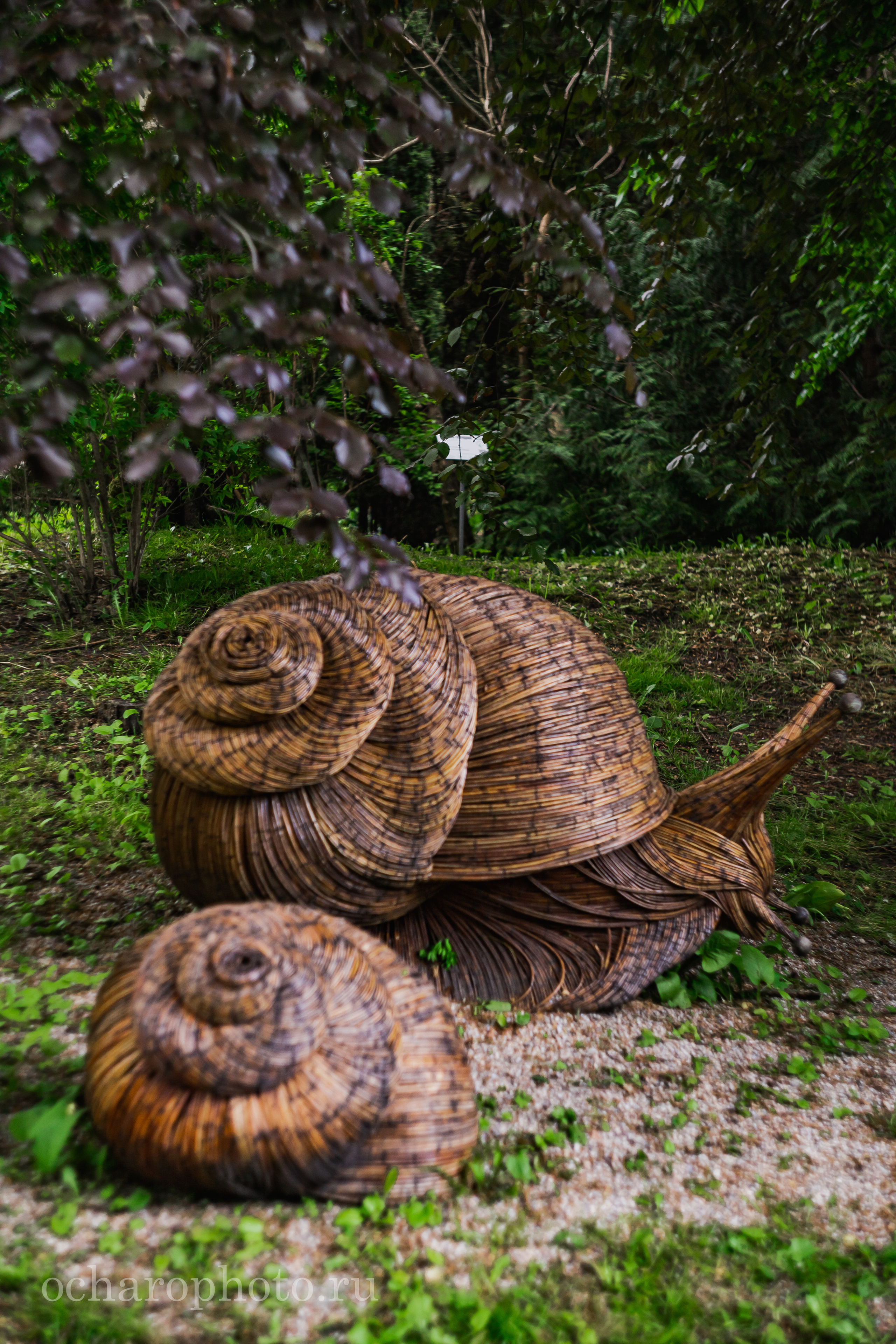 Ландшафтный парк Калининграда. AI-контент (генерации ИИ-фото и видео), стоковые фотографии Калининградской области