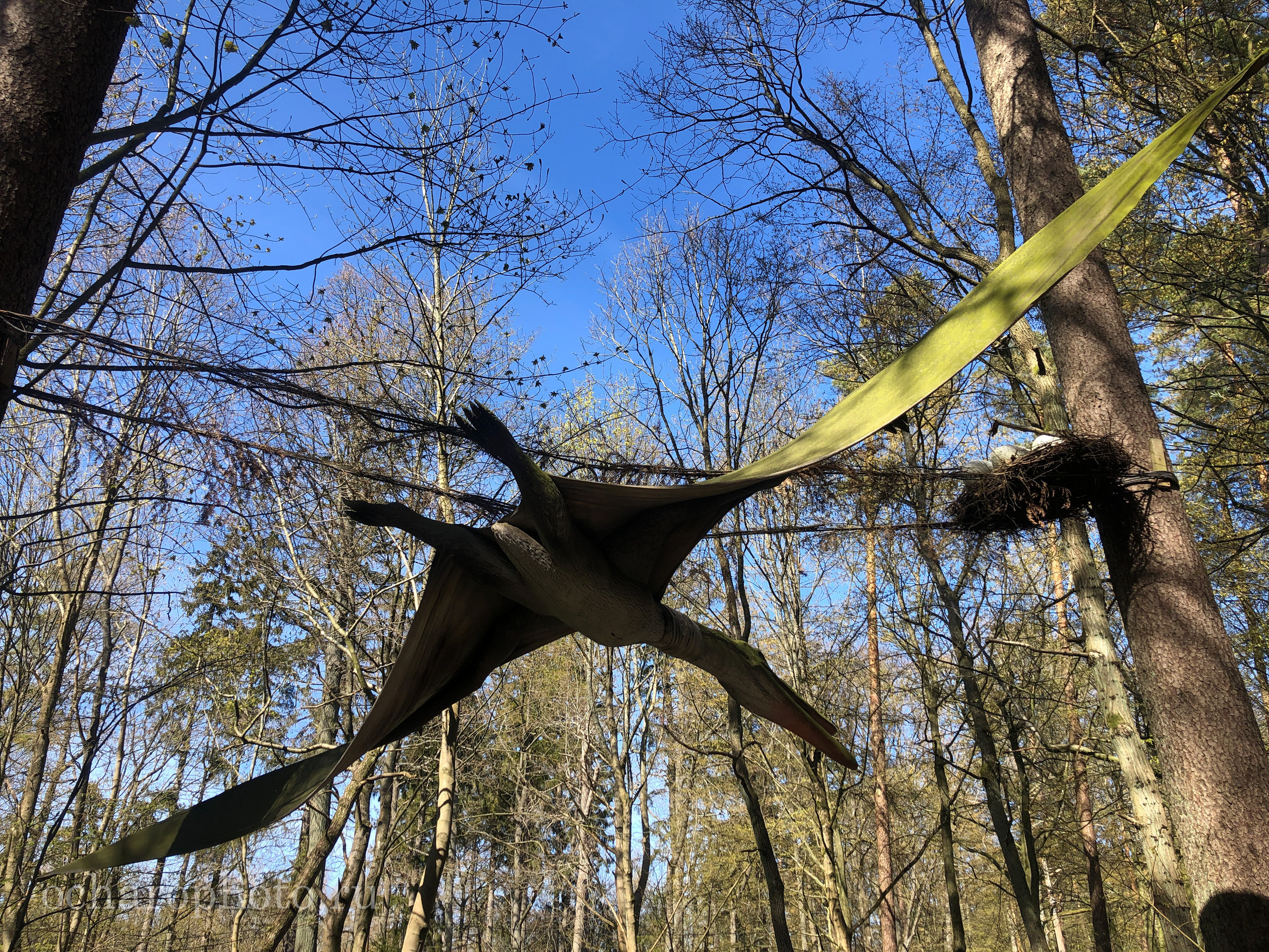 Парк Янтарного периода. AI-контент (генерации ИИ-фото и видео), стоковые фотографии Калининградской области