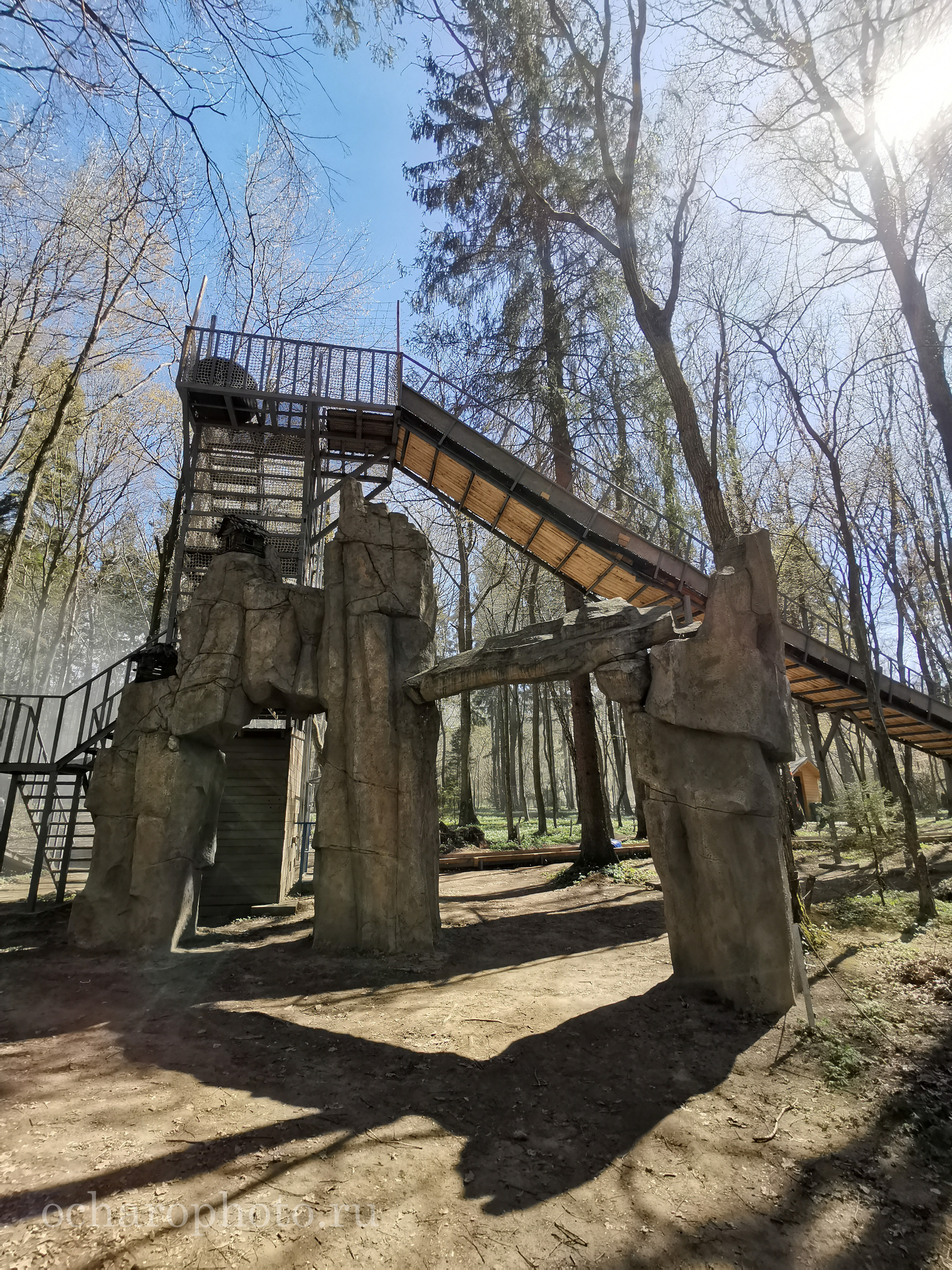 Парк Янтарного периода. AI-контент (генерации ИИ-фото и видео), стоковые фотографии Калининградской области