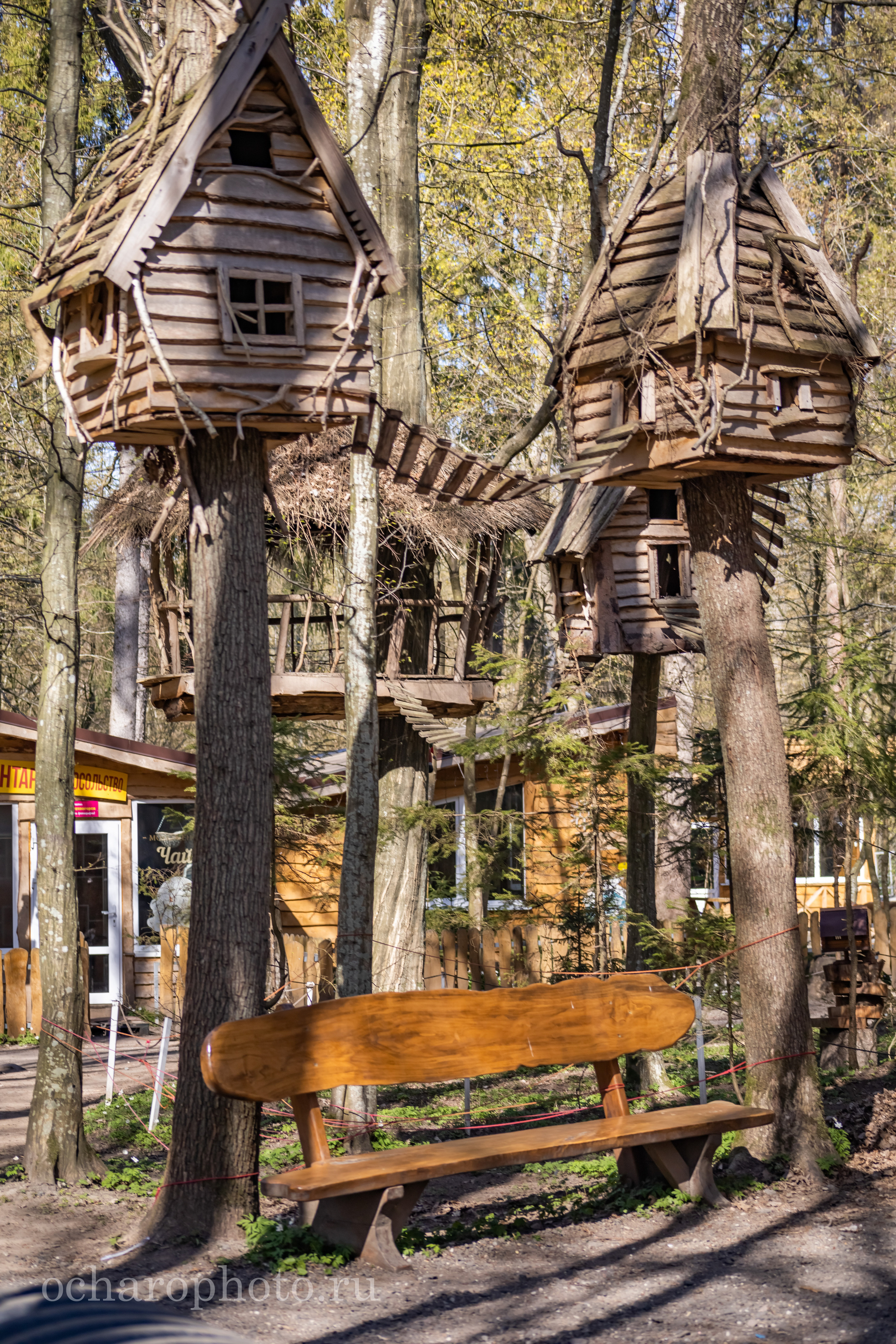 Парк Янтарного периода. AI-контент (генерации ИИ-фото и видео), стоковые фотографии Калининградской области