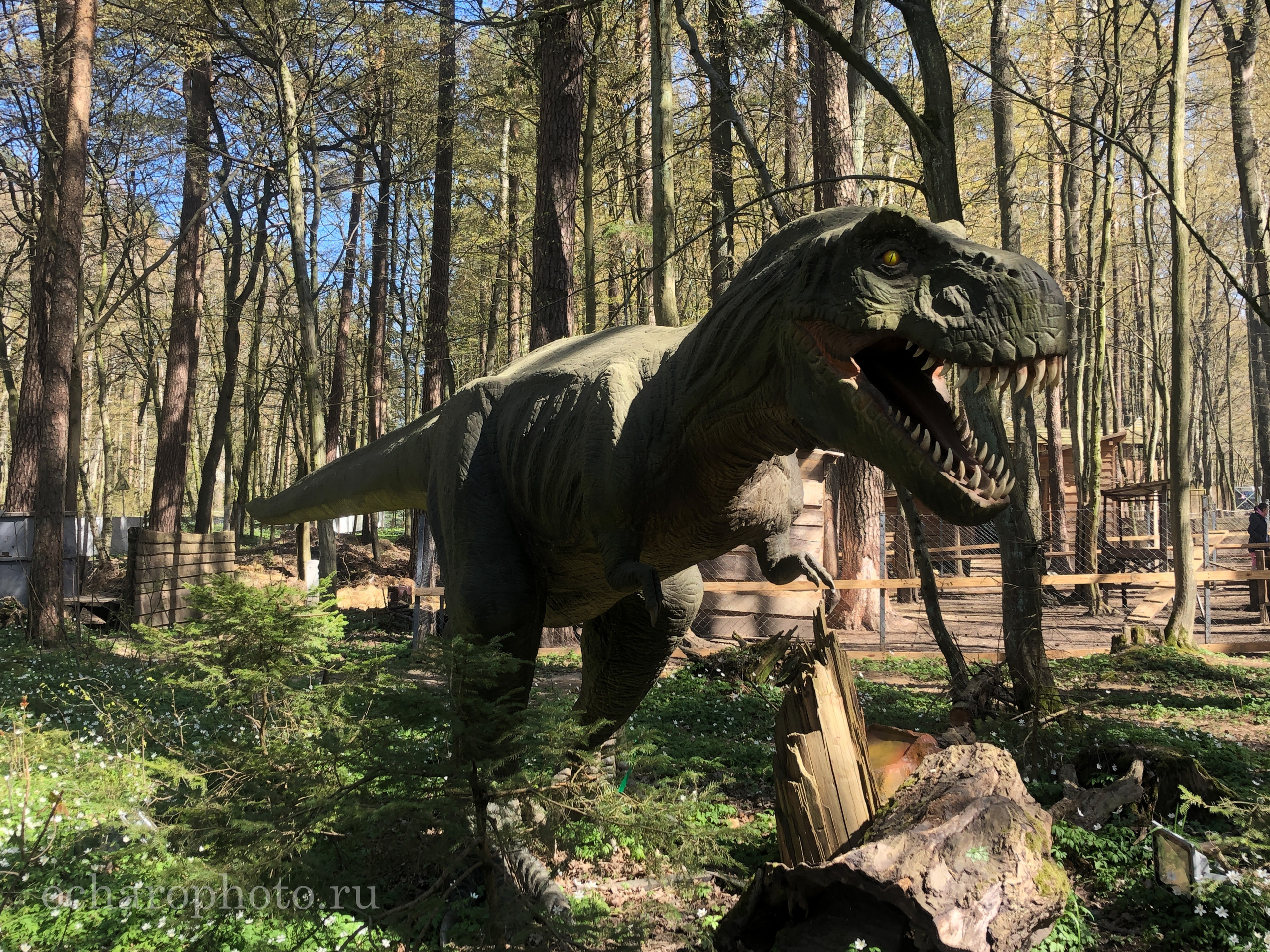 Парк Янтарного периода. AI-контент (генерации ИИ-фото и видео), стоковые фотографии Калининградской области