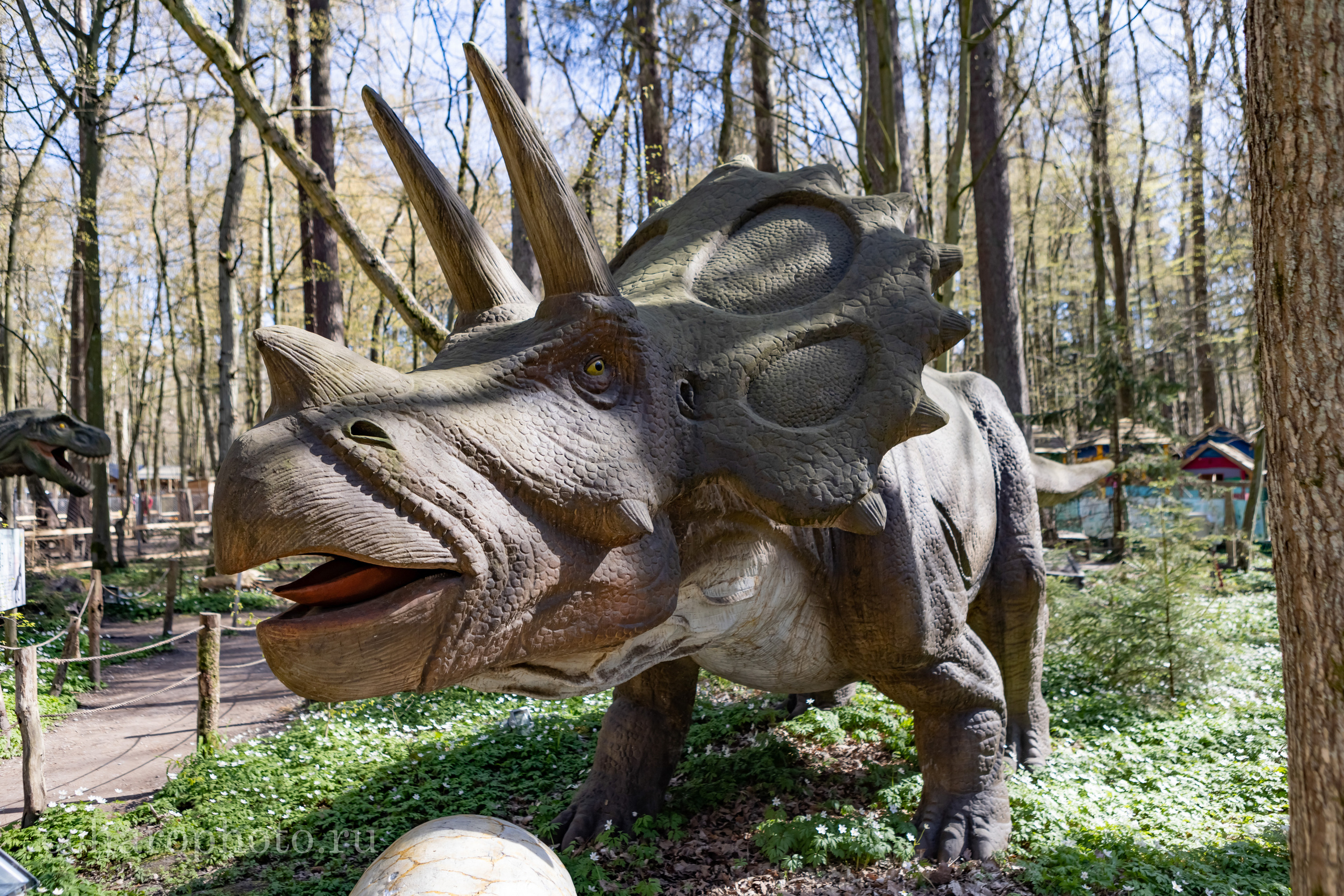 Парк Янтарного периода. AI-контент (генерации ИИ-фото и видео), стоковые фотографии Калининградской области