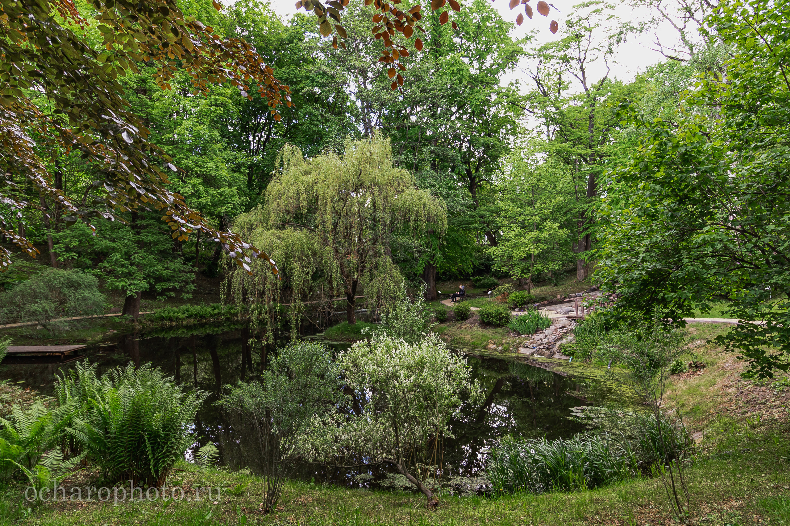 Ландшафтный парк Калининграда. AI-контент (генерации ИИ-фото и видео), стоковые фотографии Калининградской области