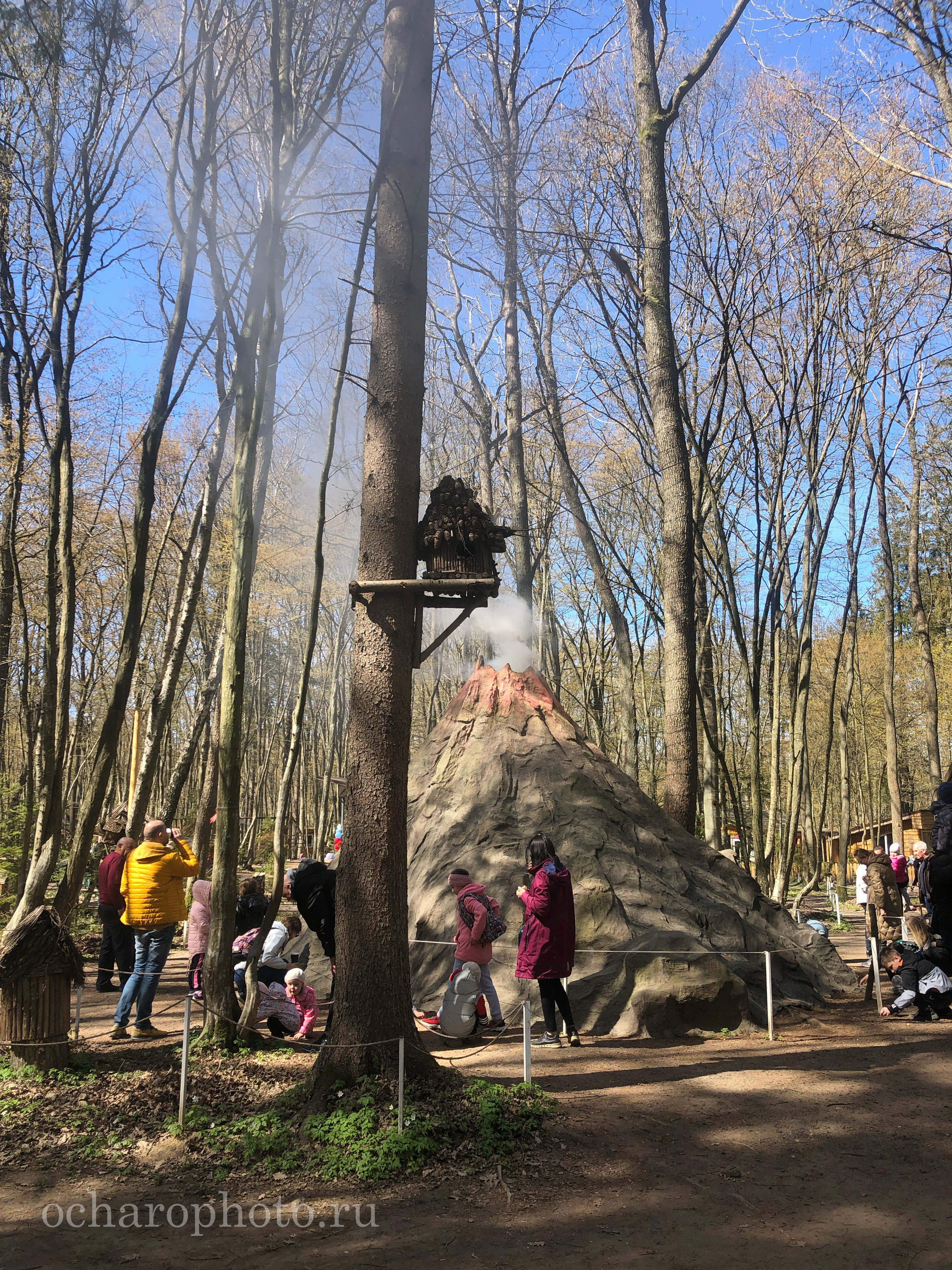 Парк Янтарного периода. AI-контент (генерации ИИ-фото и видео), стоковые фотографии Калининградской области