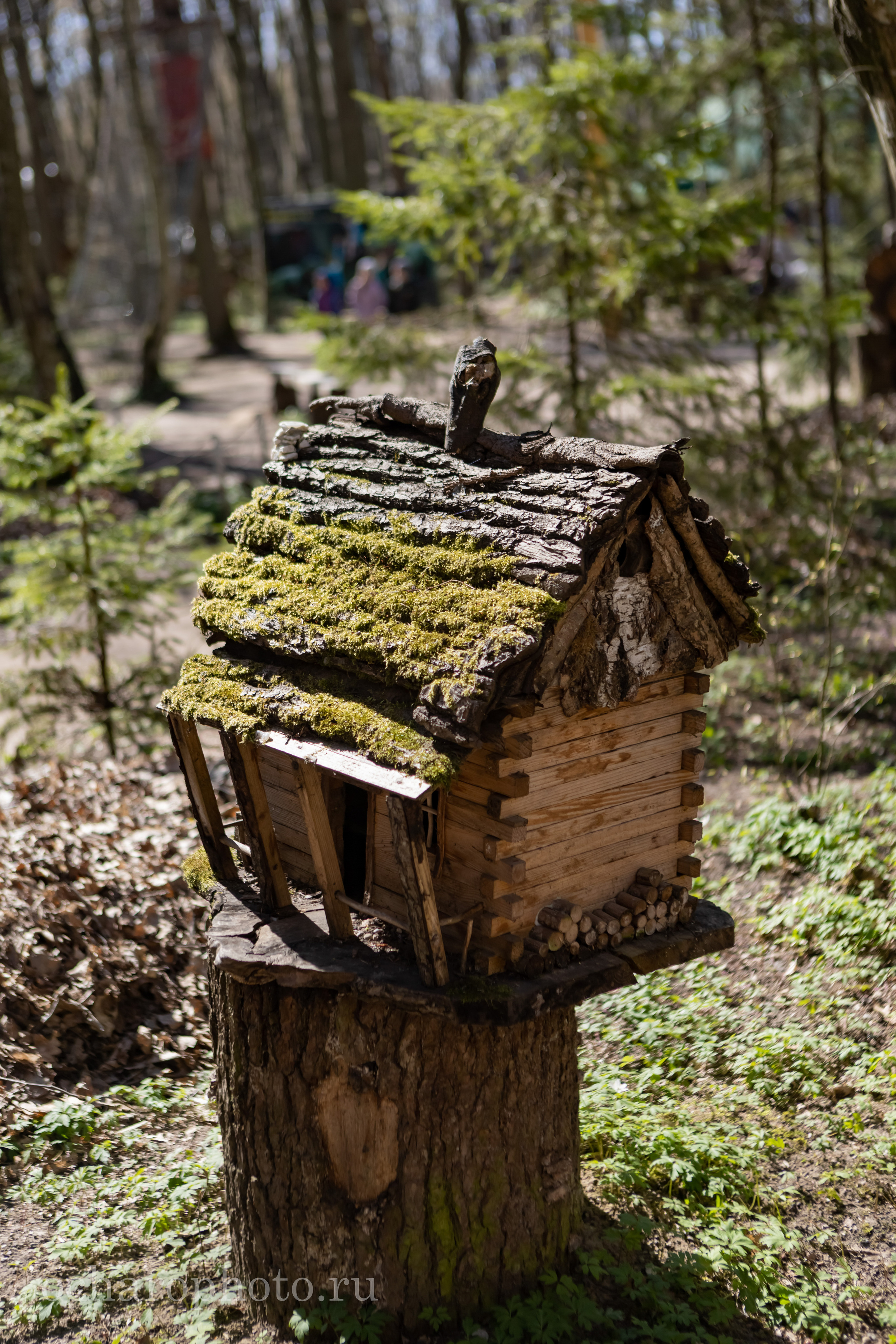 Парк Янтарного периода. AI-контент (генерации ИИ-фото и видео), стоковые фотографии Калининградской области