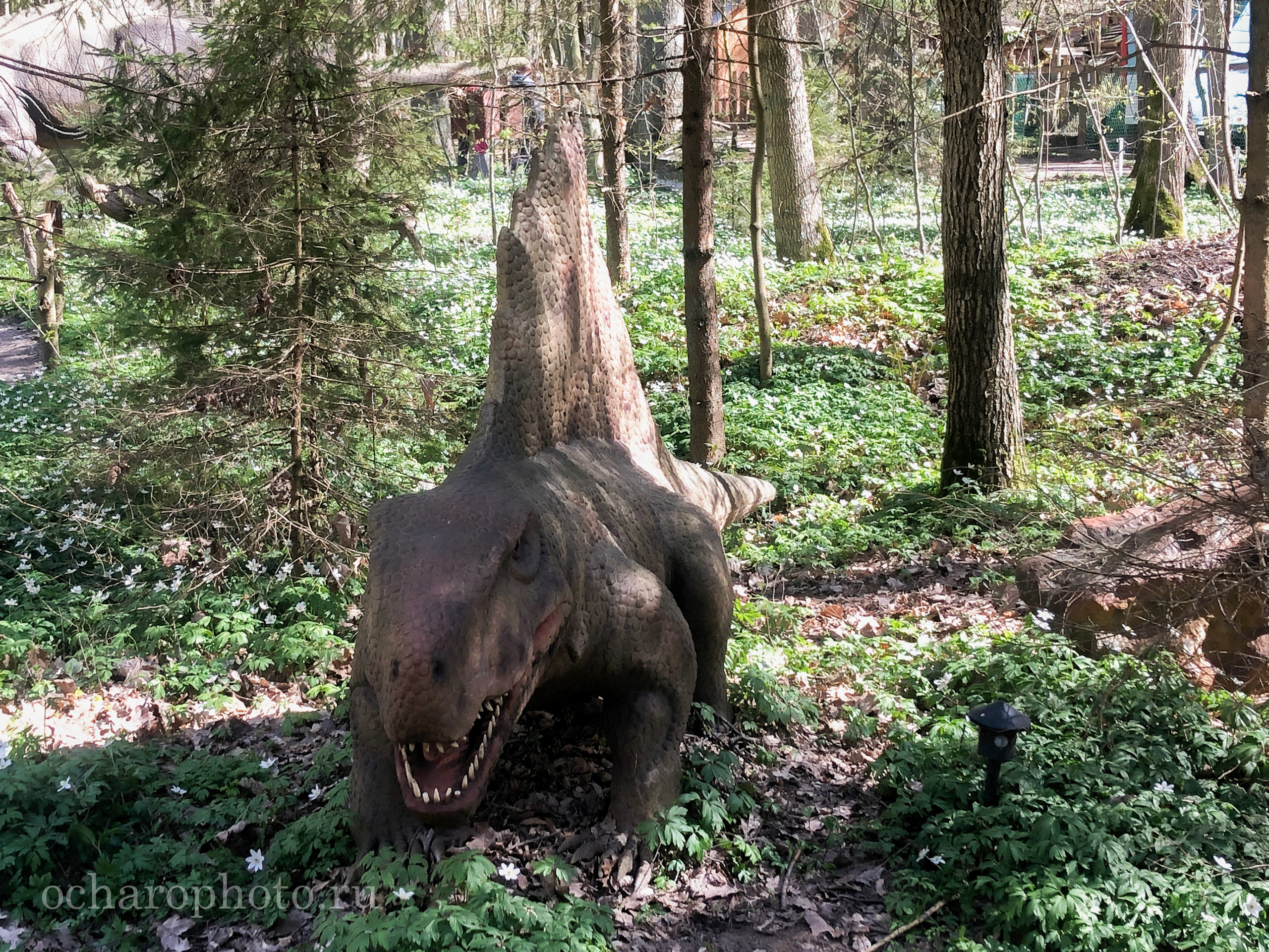 Парк Янтарного периода. AI-контент (генерации ИИ-фото и видео), стоковые фотографии Калининградской области