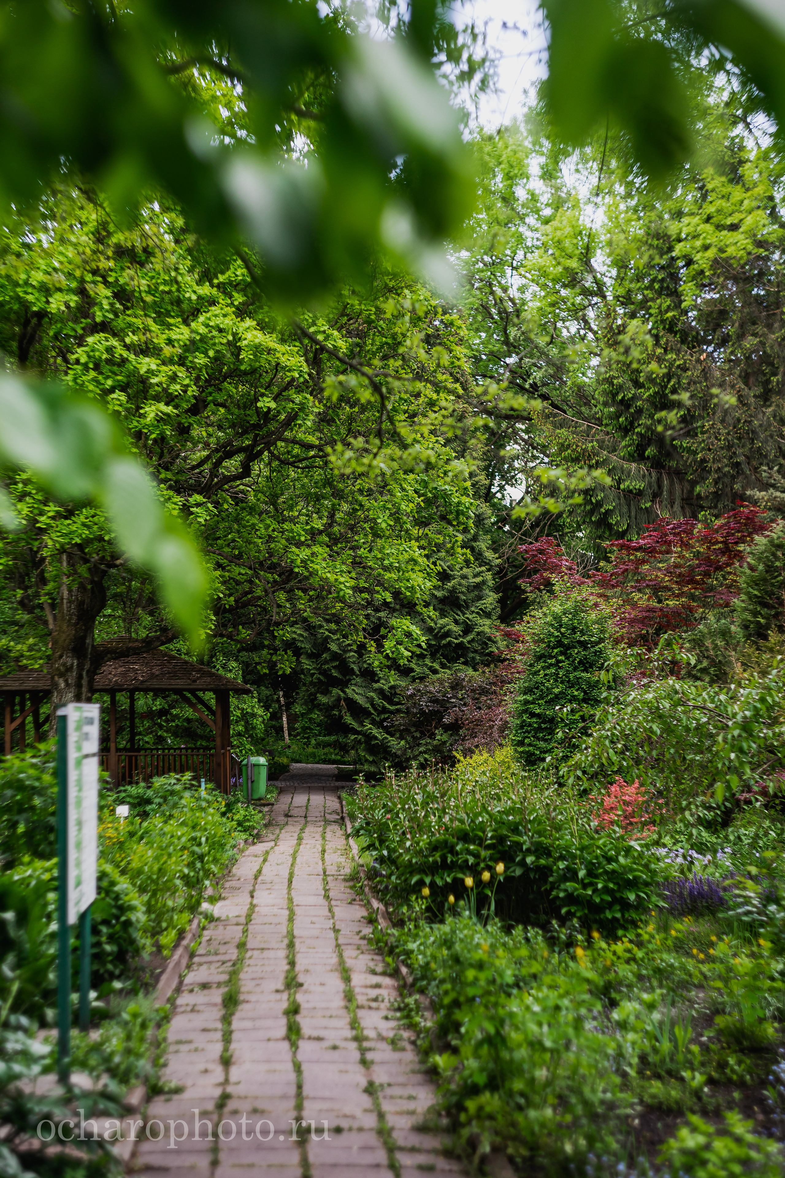 Ландшафтный парк Калининграда. AI-контент (генерации ИИ-фото и видео), стоковые фотографии Калининградской области