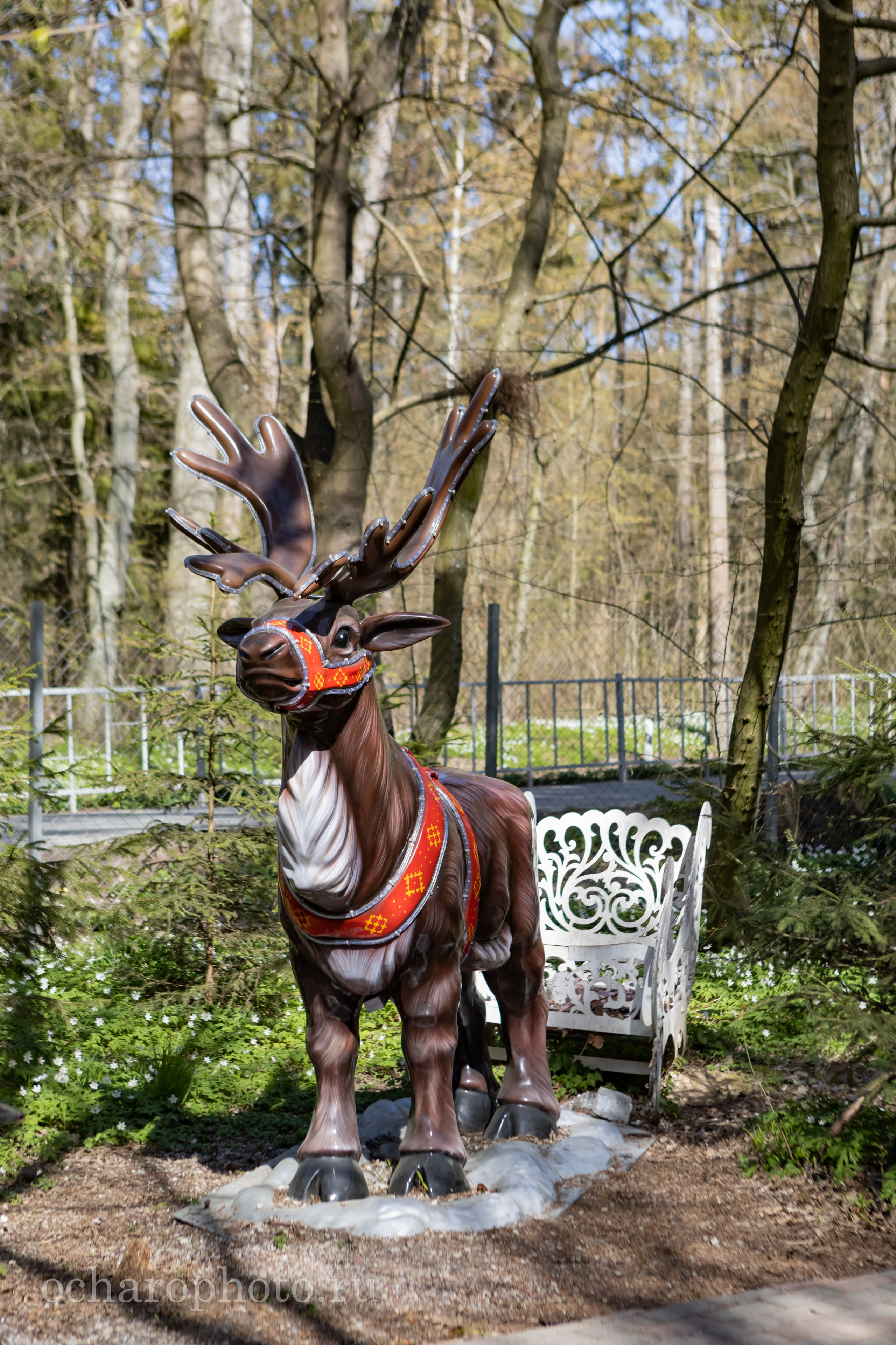 Парк Янтарного периода. AI-контент (генерации ИИ-фото и видео), стоковые фотографии Калининградской области