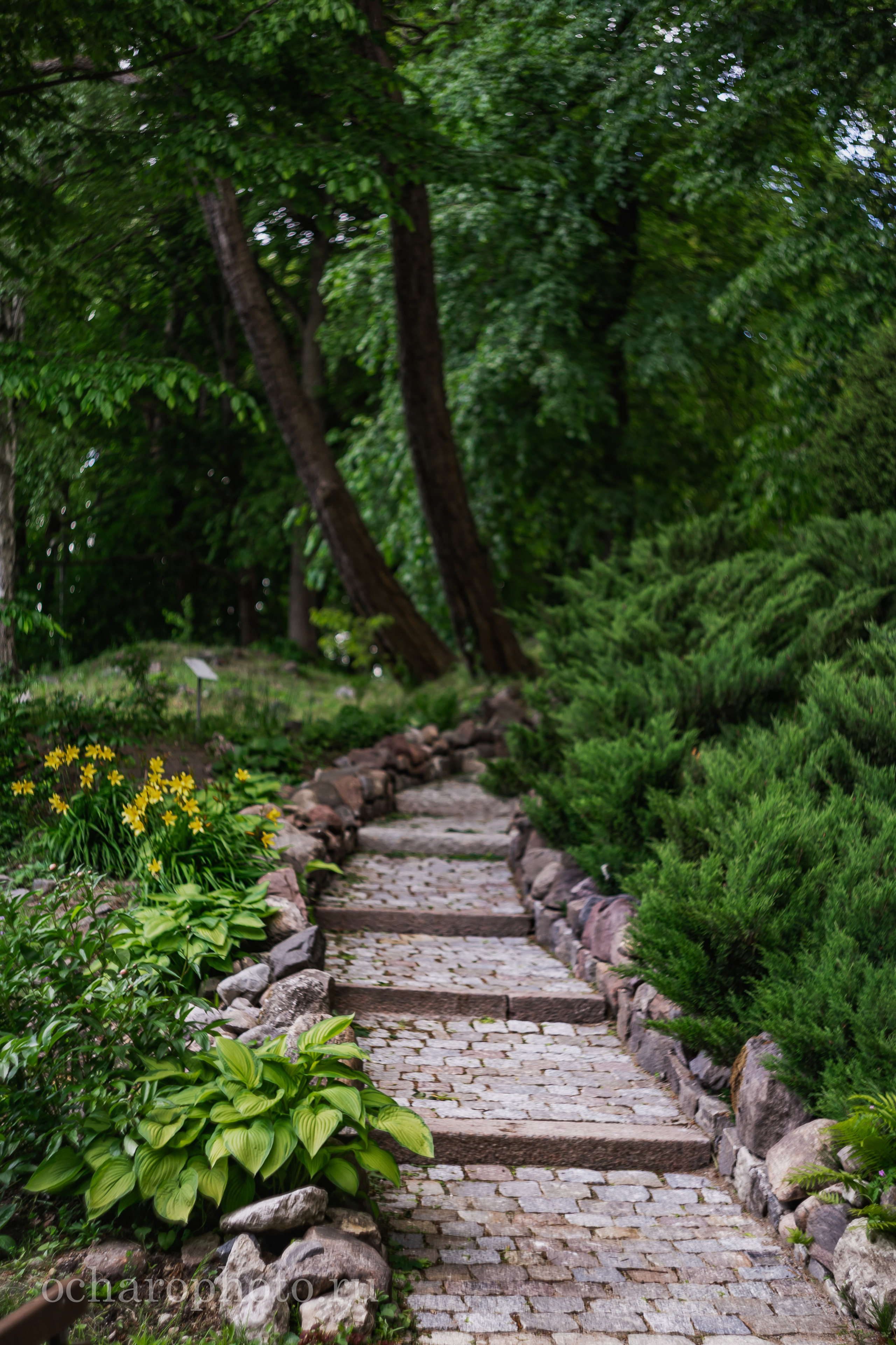 Ландшафтный парк Калининграда. AI-контент (генерации ИИ-фото и видео), стоковые фотографии Калининградской области