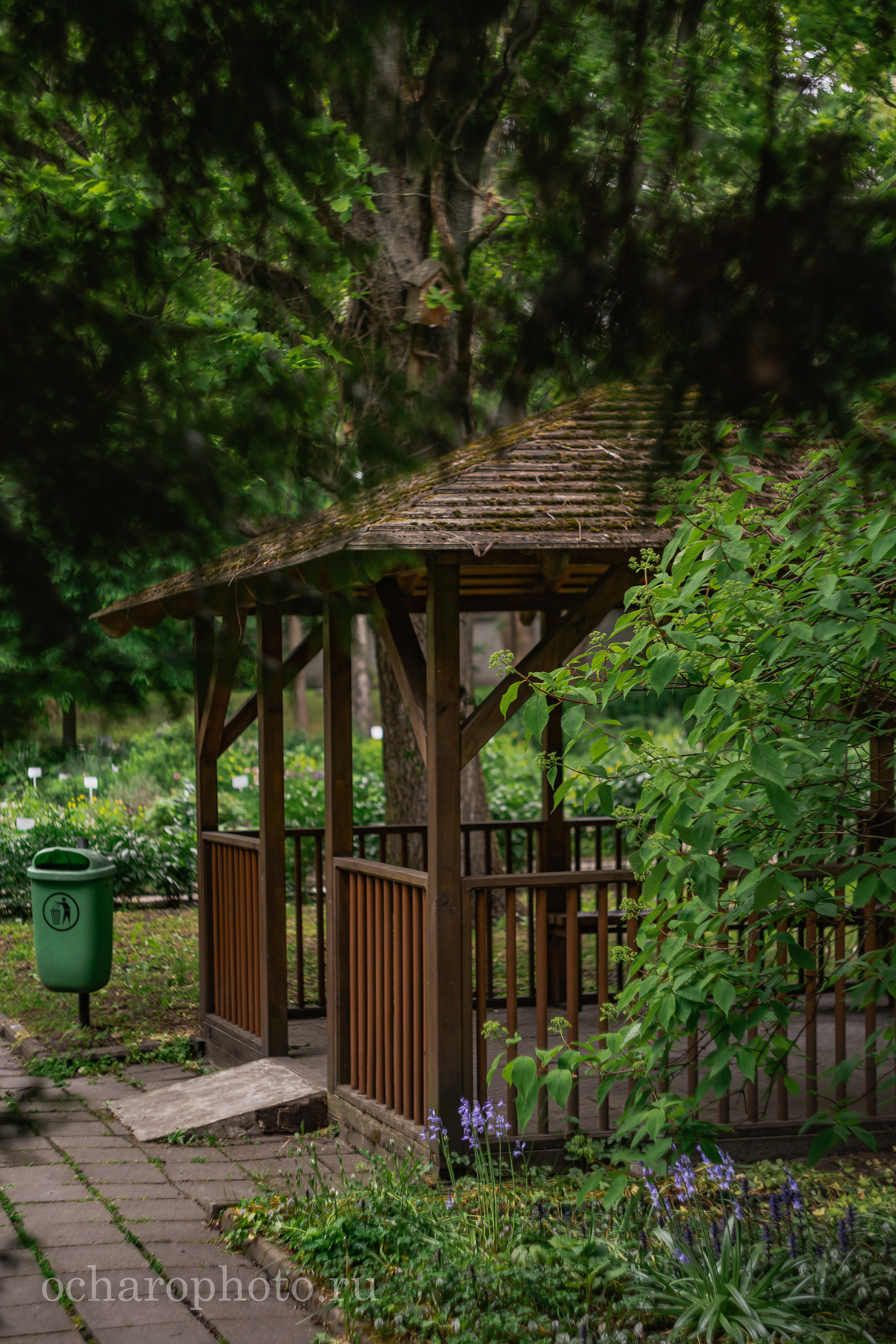 Ландшафтный парк Калининграда. AI-контент (генерации ИИ-фото и видео), стоковые фотографии Калининградской области