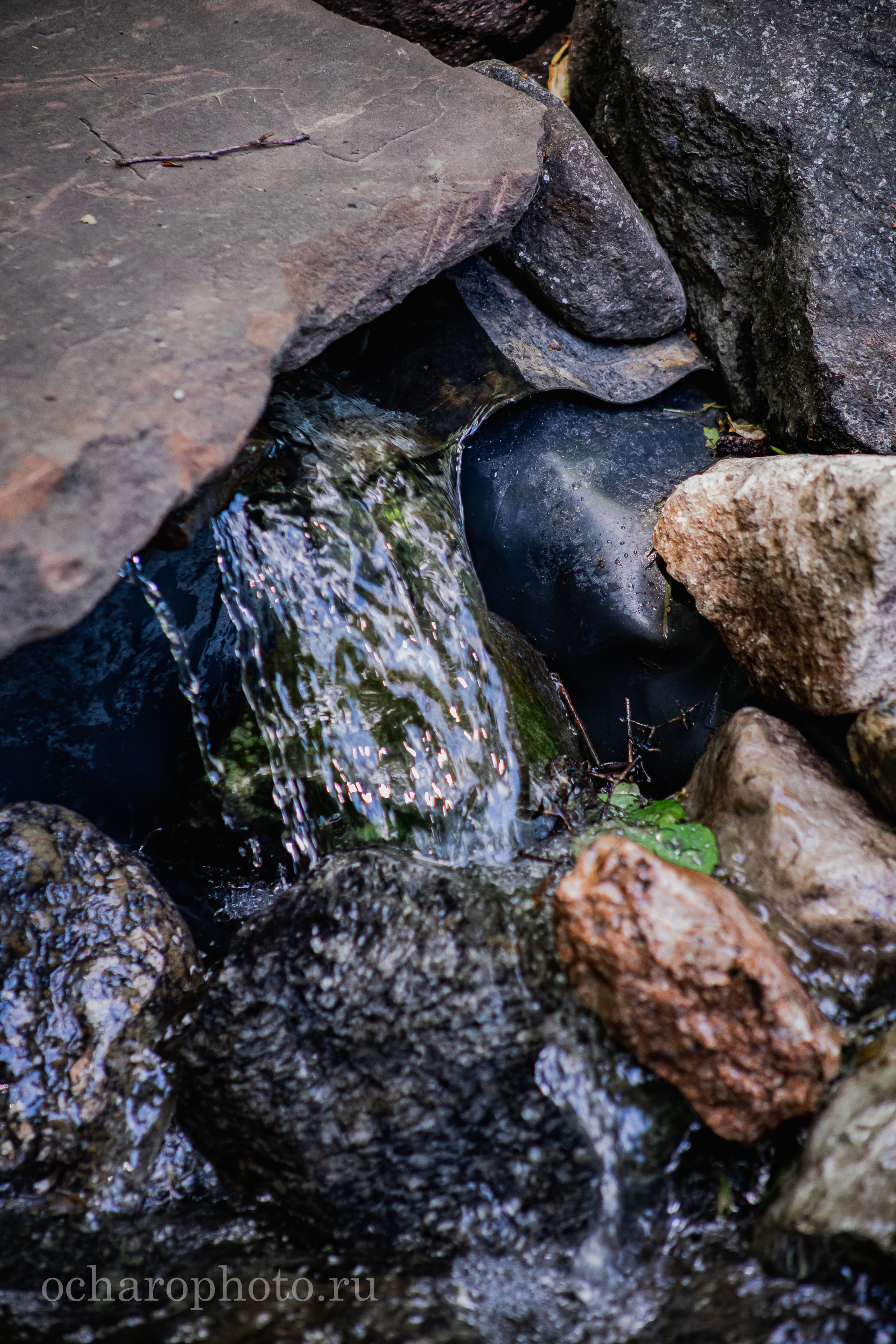 Ландшафтный парк Калининграда. AI-контент (генерации ИИ-фото и видео), стоковые фотографии Калининградской области
