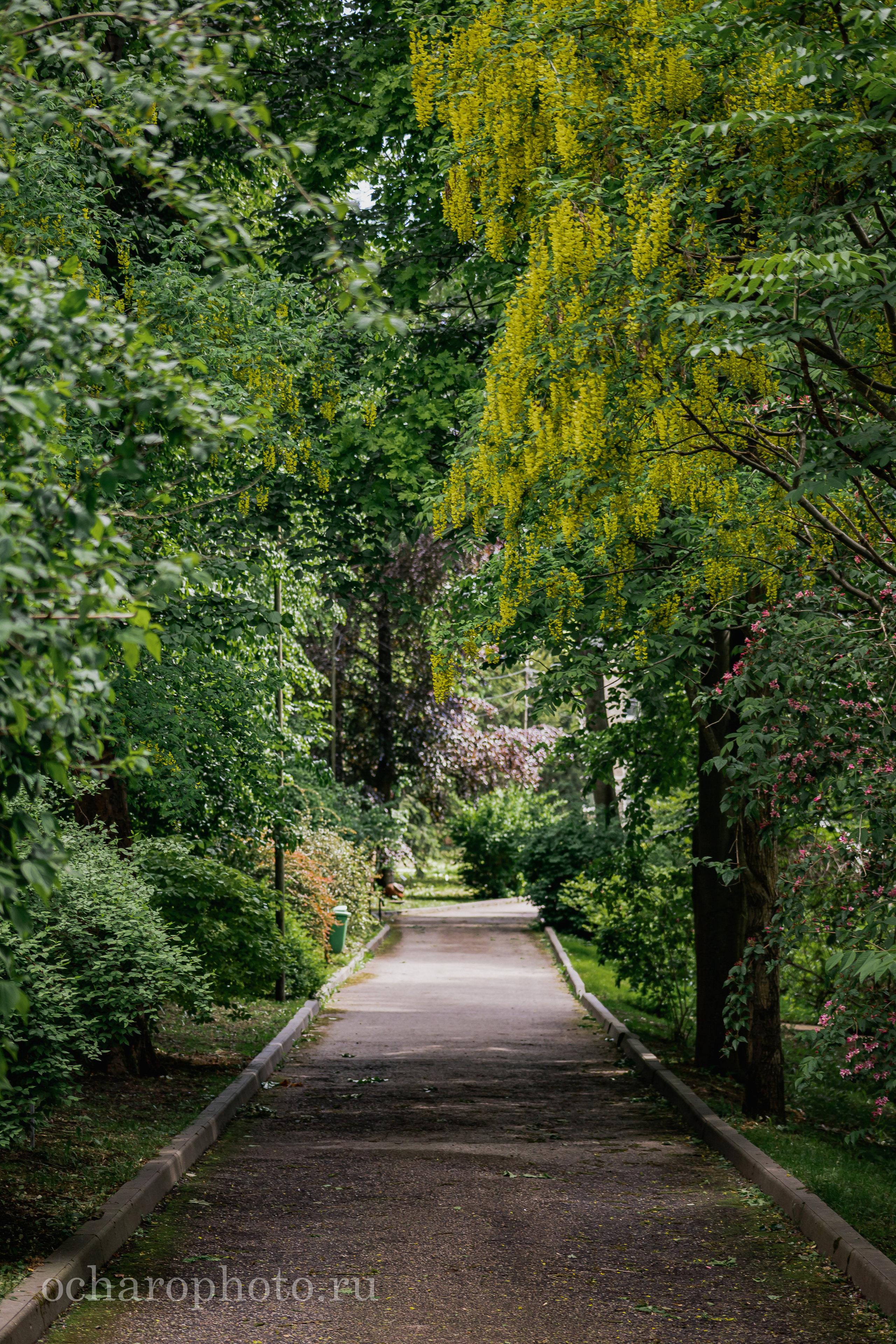 Ландшафтный парк Калининграда. AI-контент (генерации ИИ-фото и видео), стоковые фотографии Калининградской области